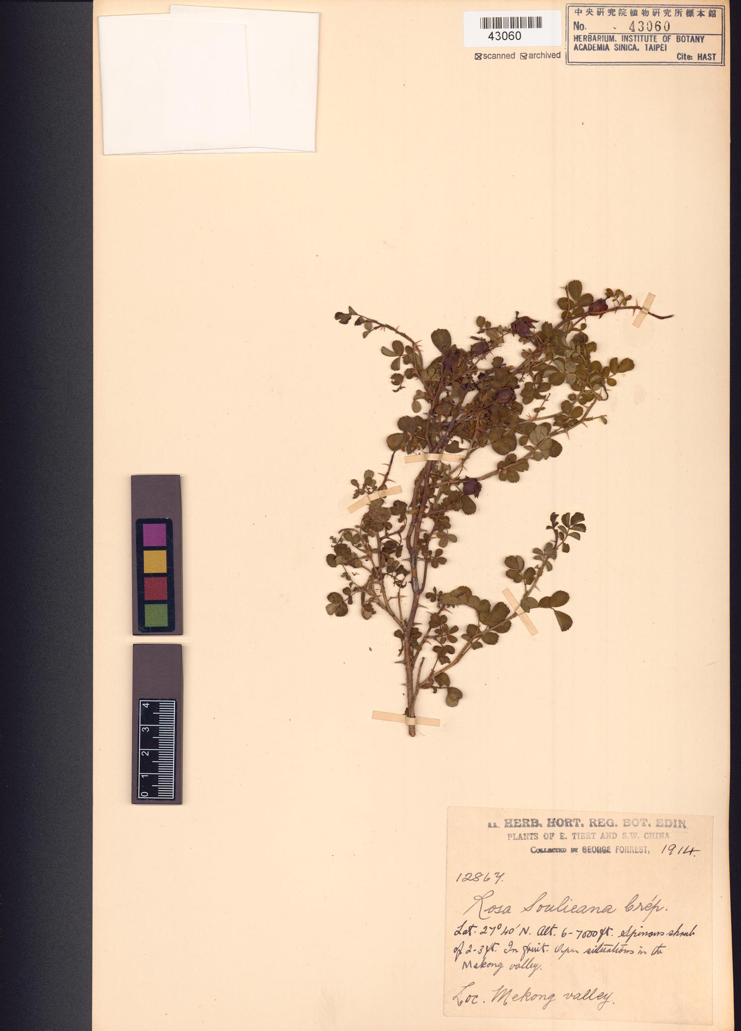 Sample image for viewer