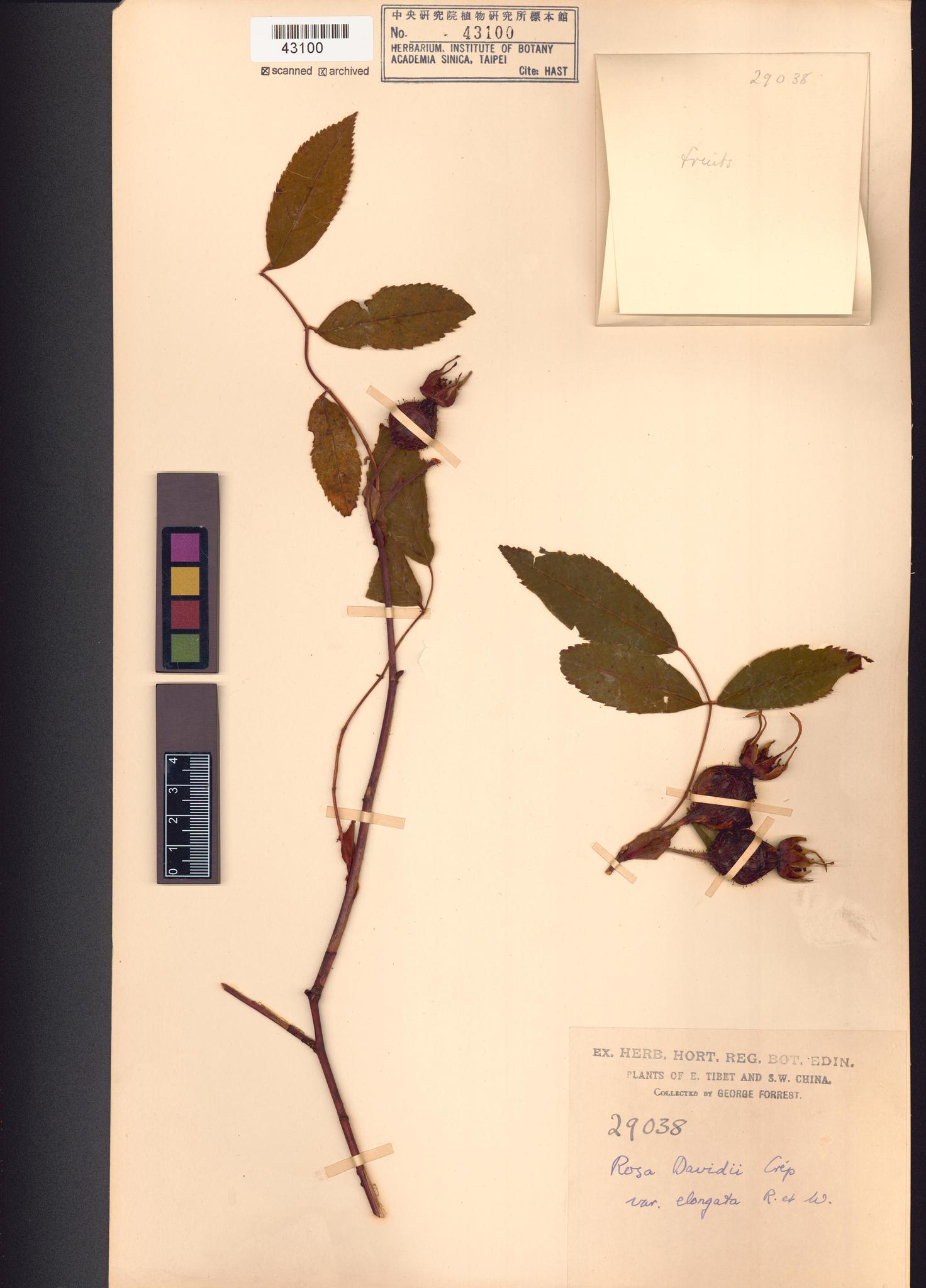 Sample image for viewer