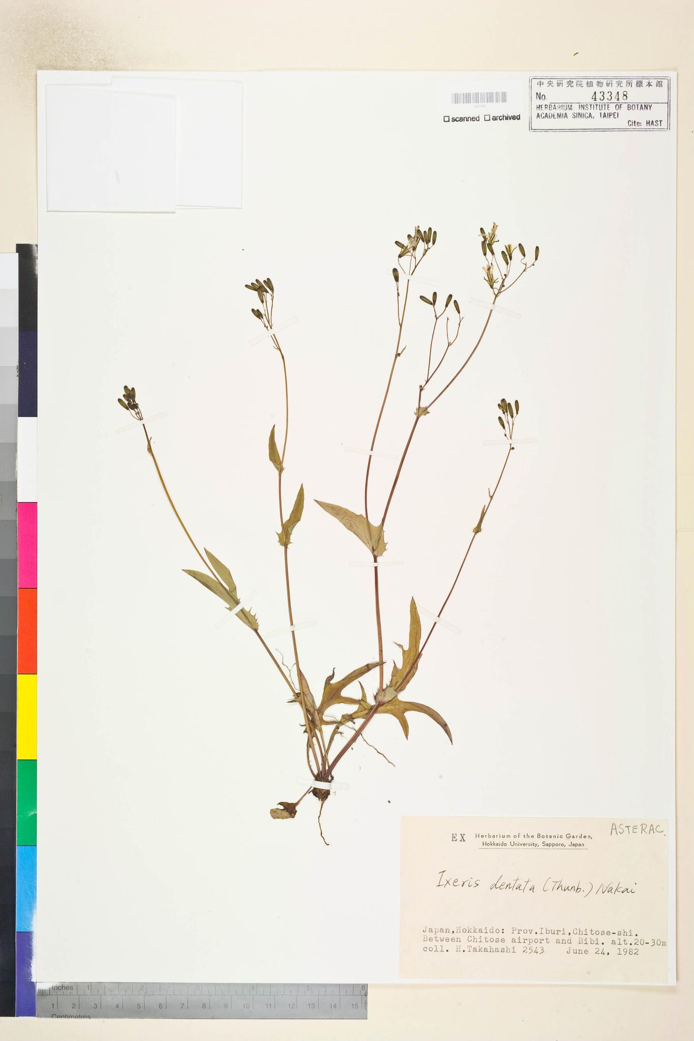 Specimen image