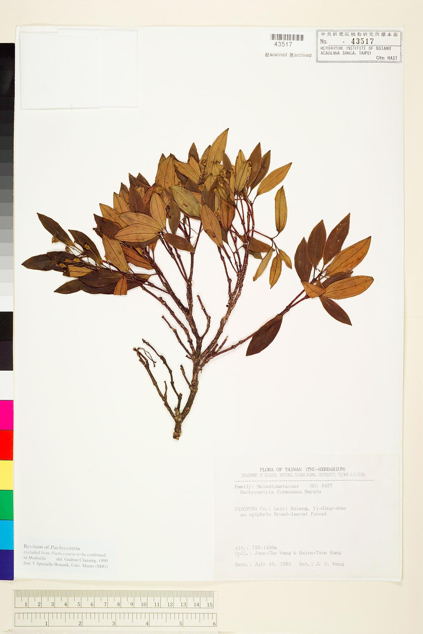 Sample image for viewer