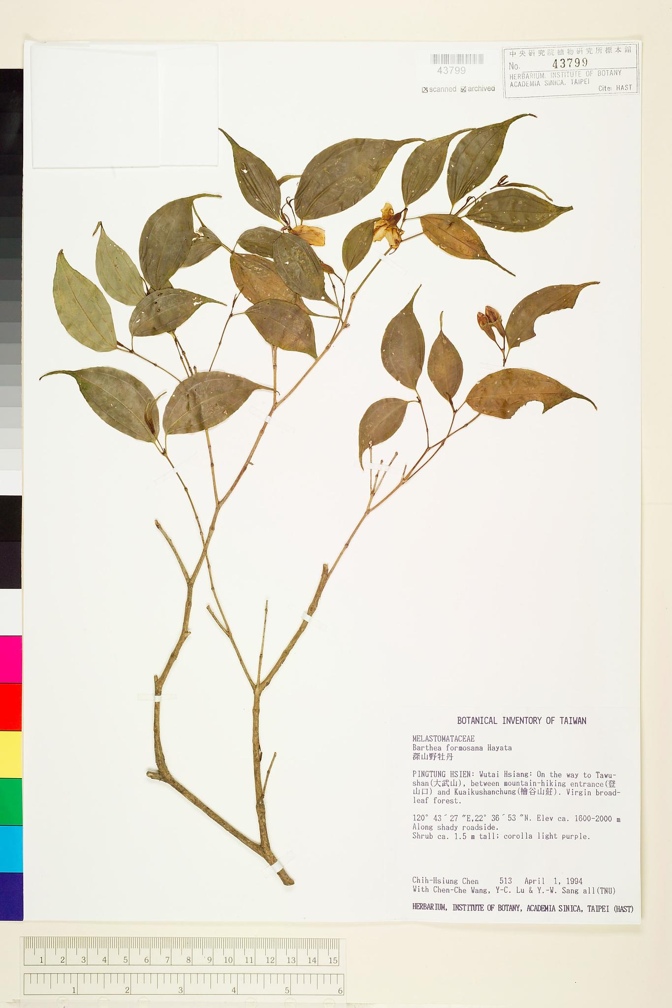 Sample image for viewer