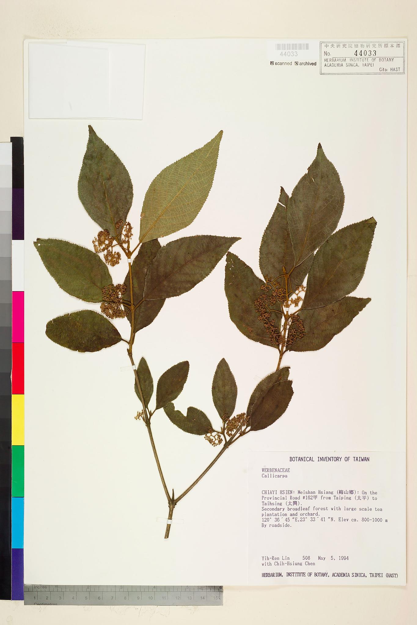 Sample image for viewer