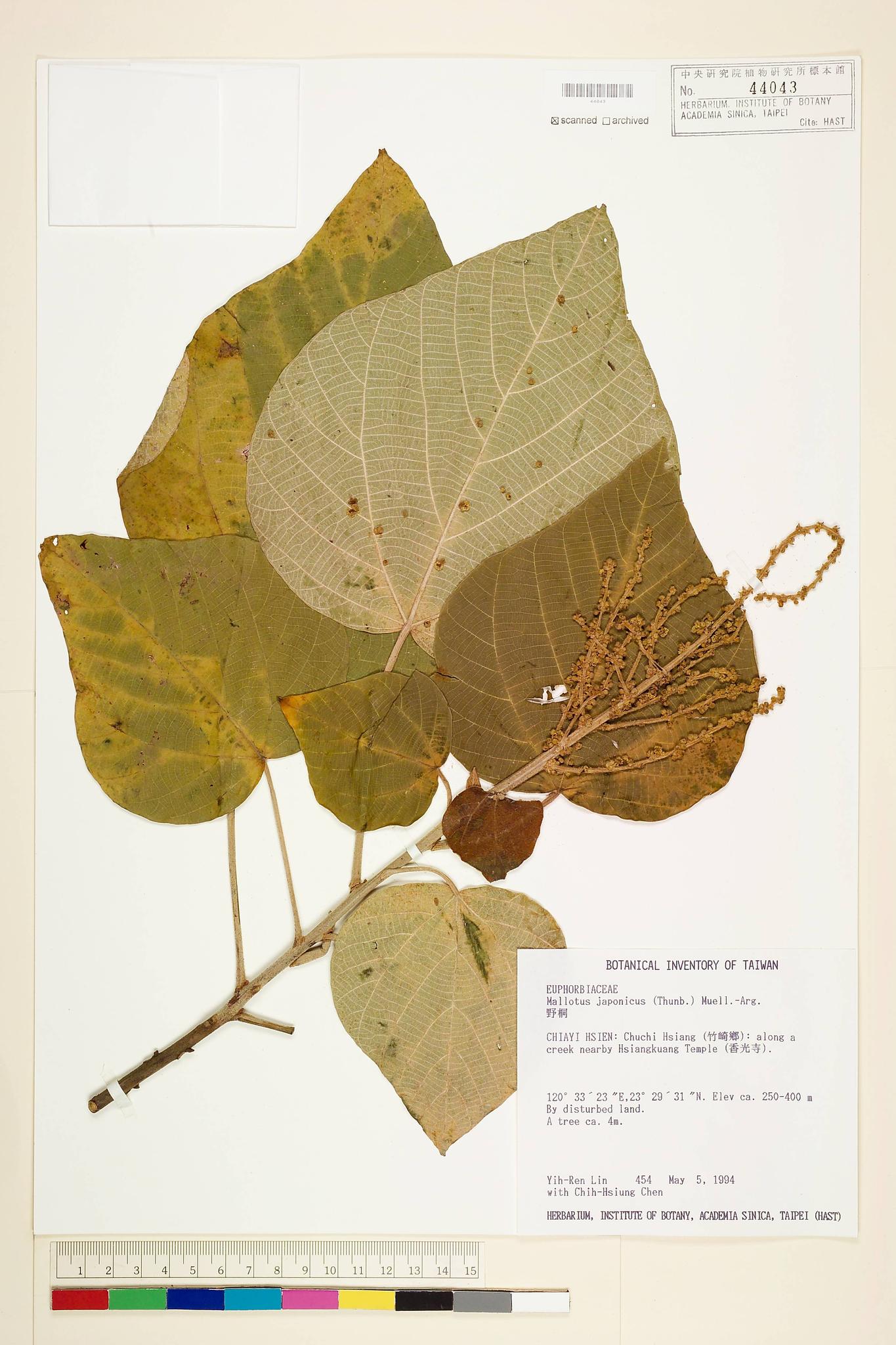 Sample image for viewer