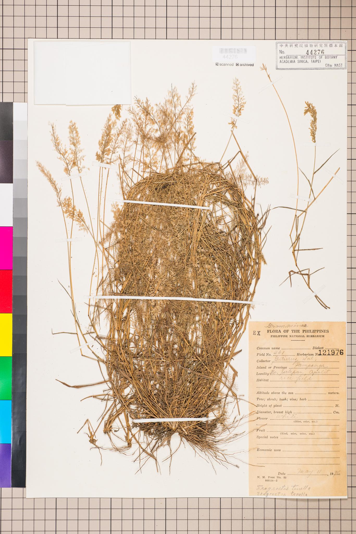 Sample image for viewer