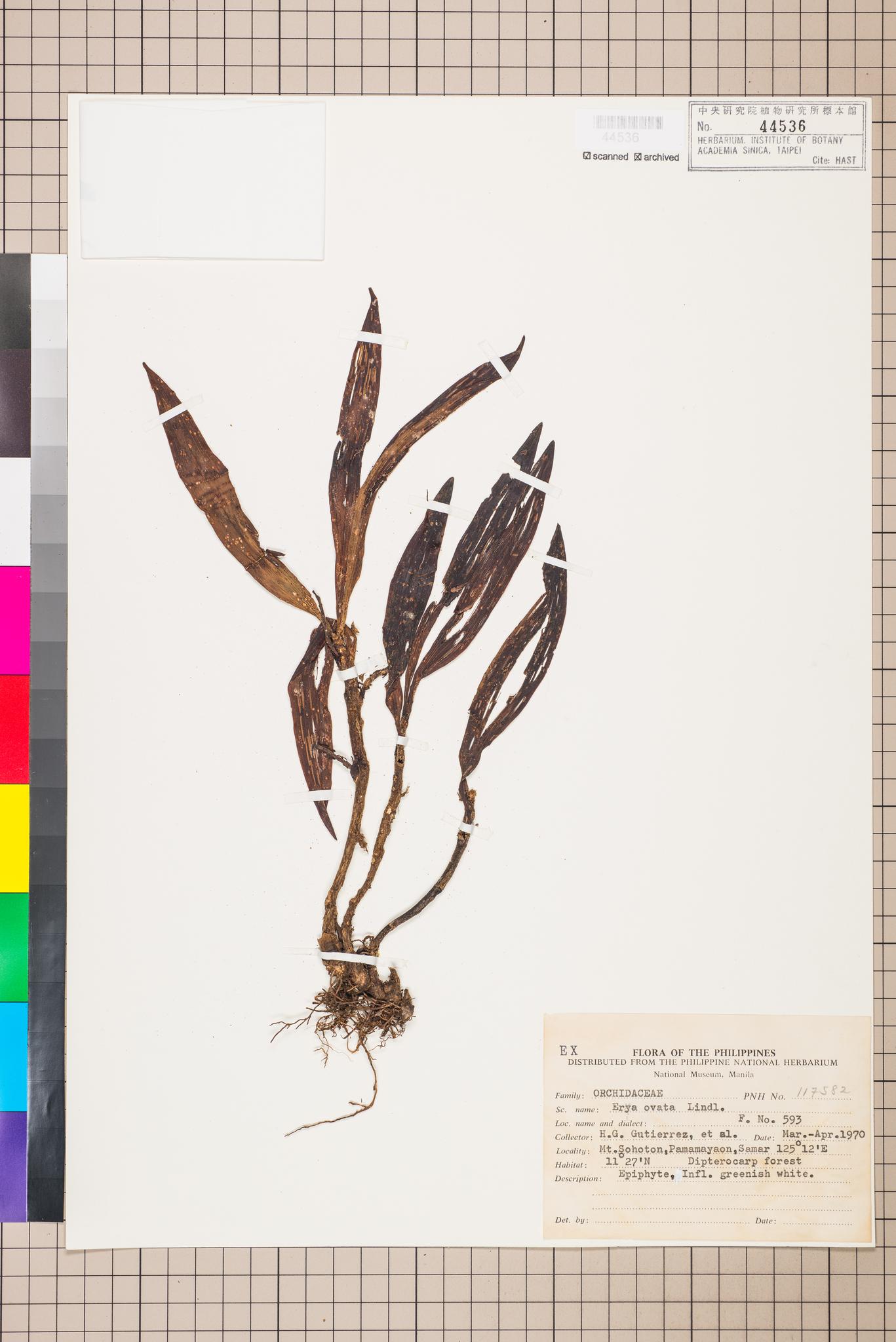 Specimen image