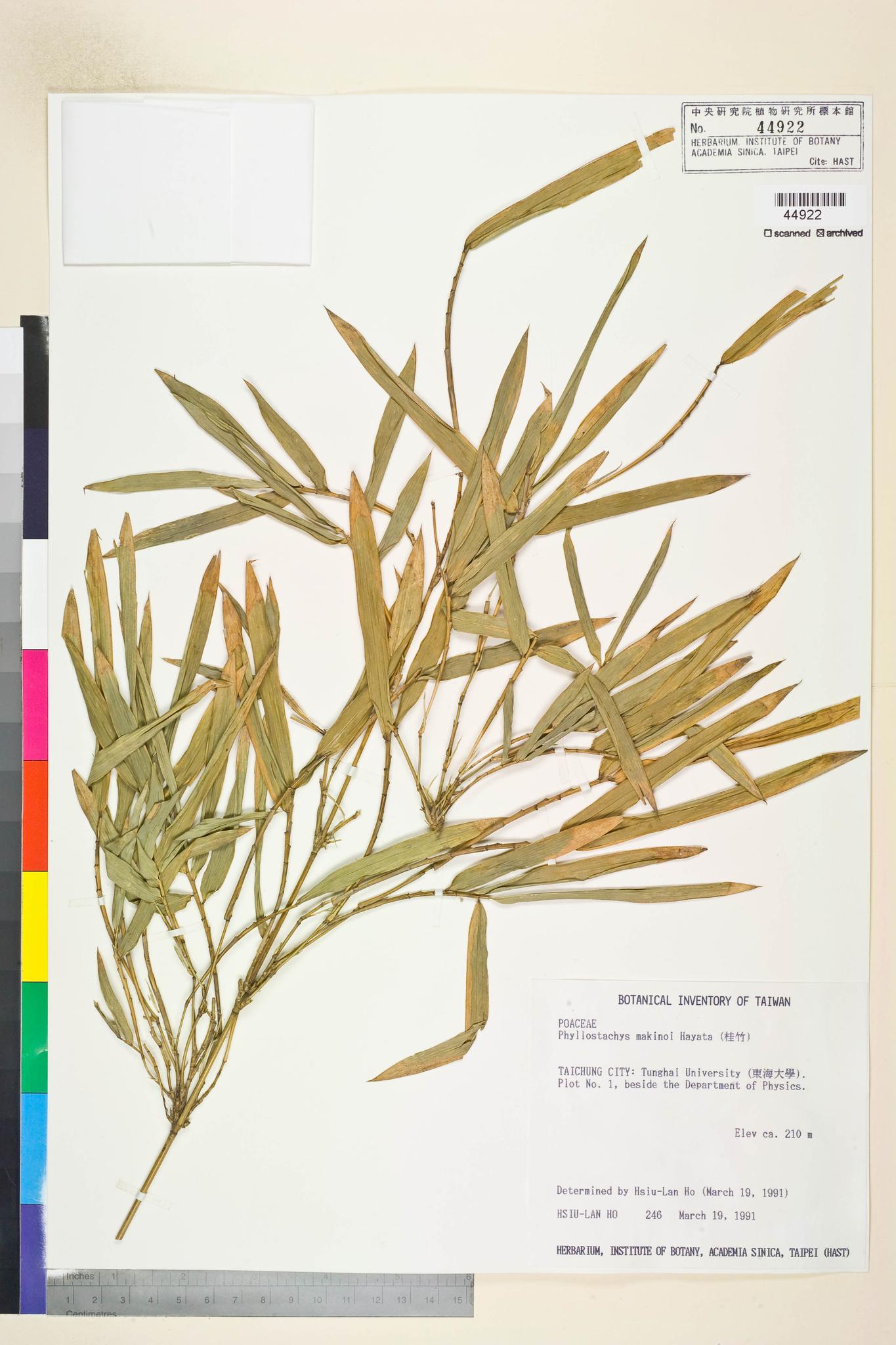 Sample image for viewer