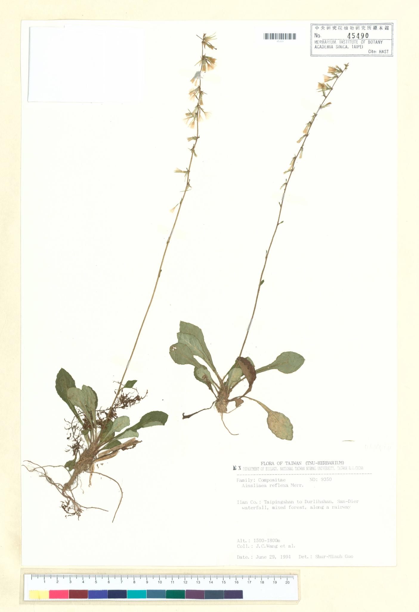 Sample image for viewer