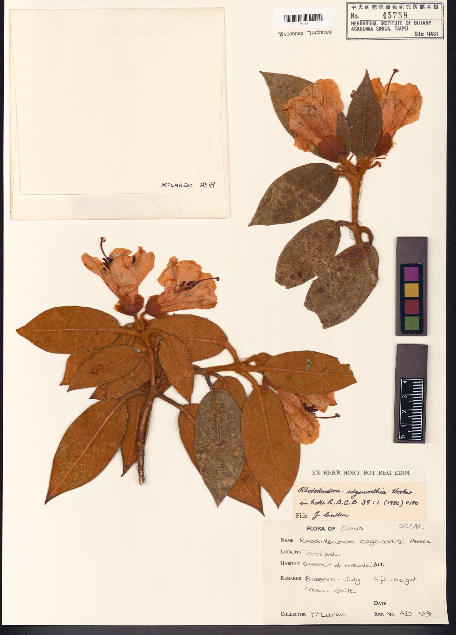 Specimen image