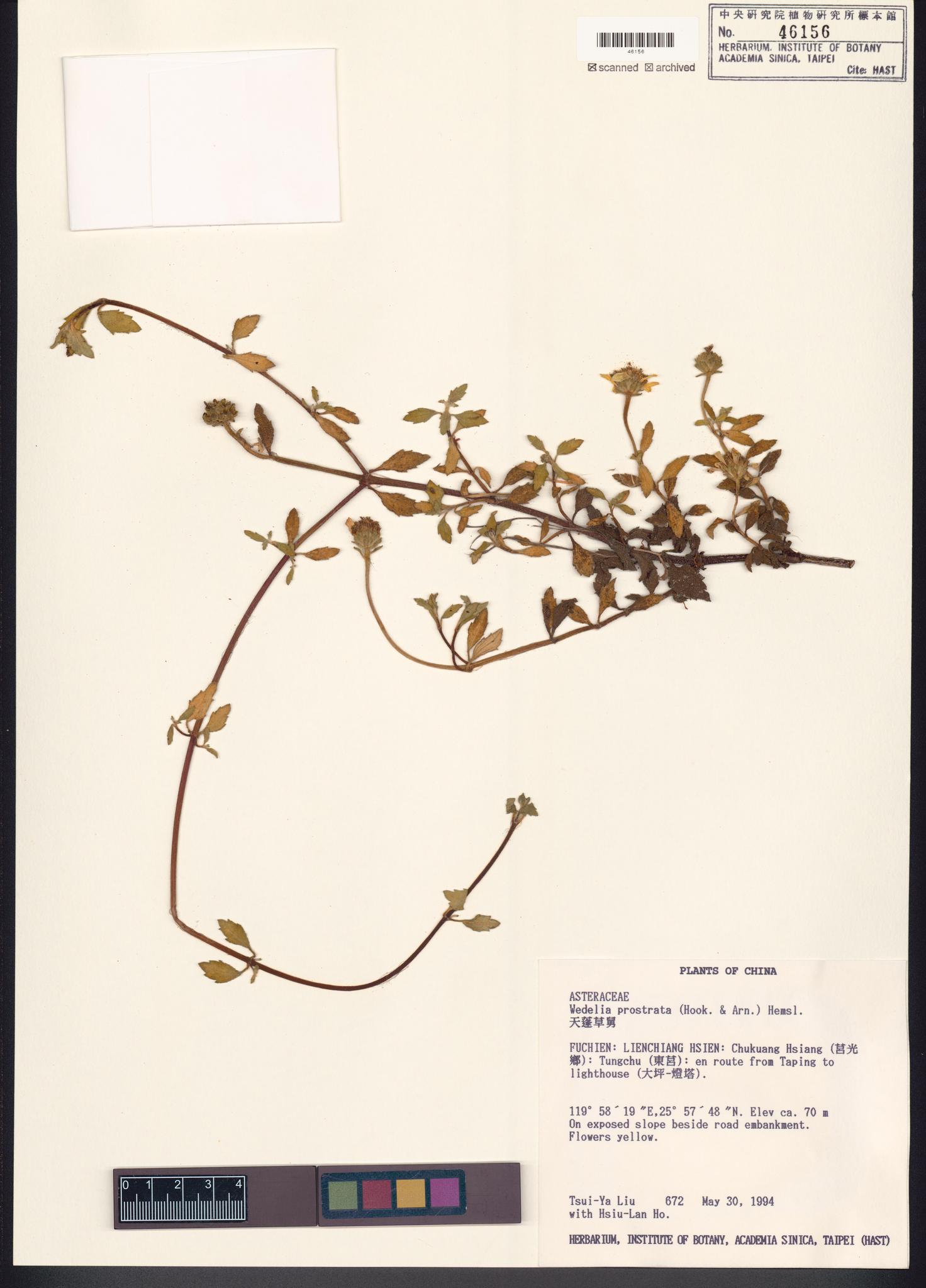 Sample image for viewer