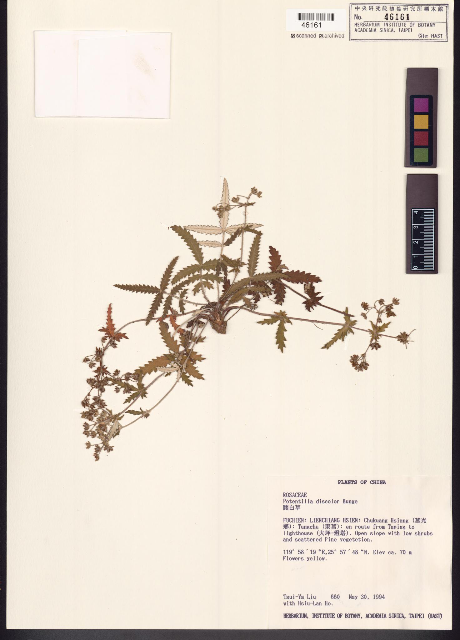 Sample image for viewer