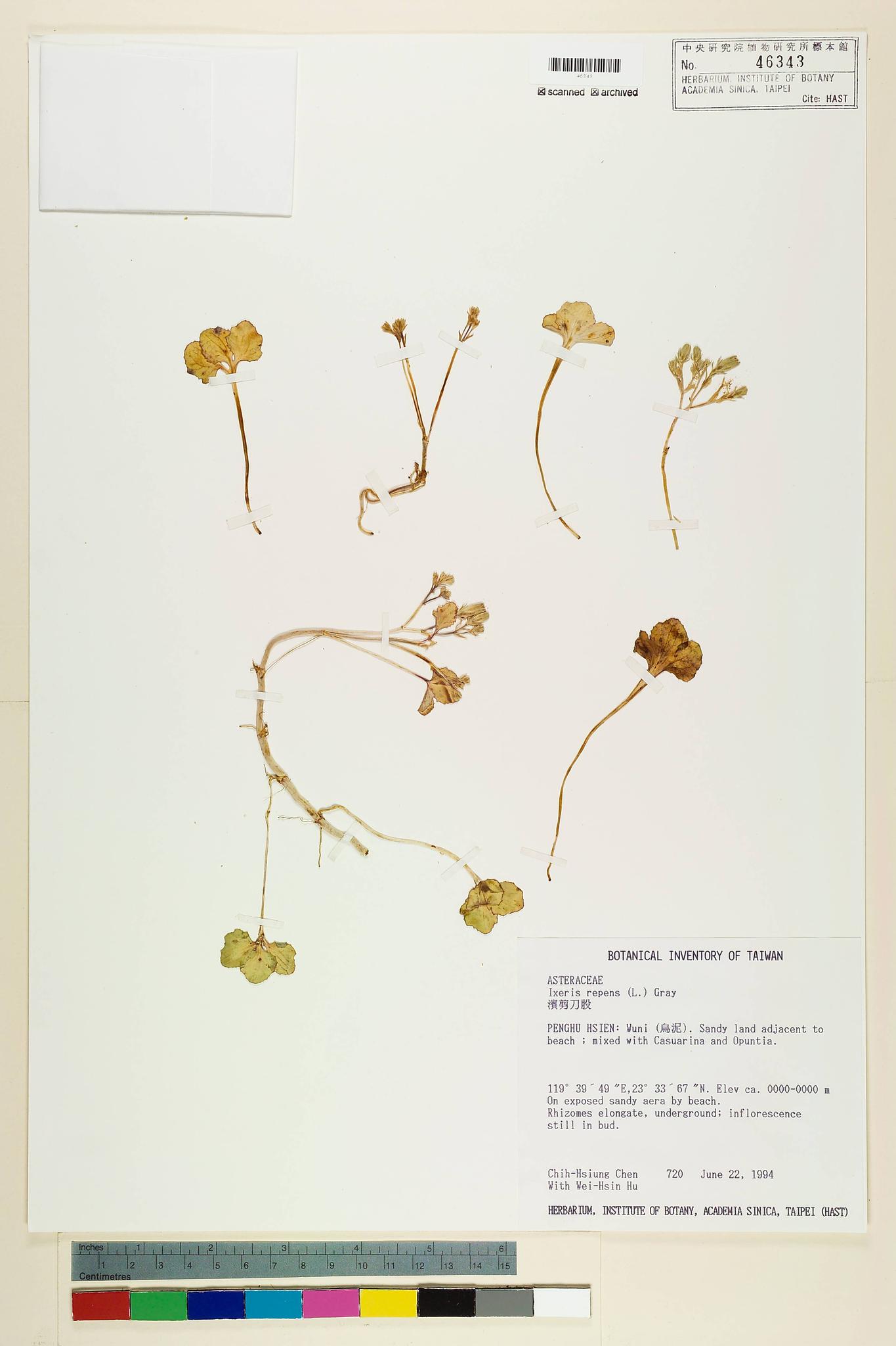 Specimen image