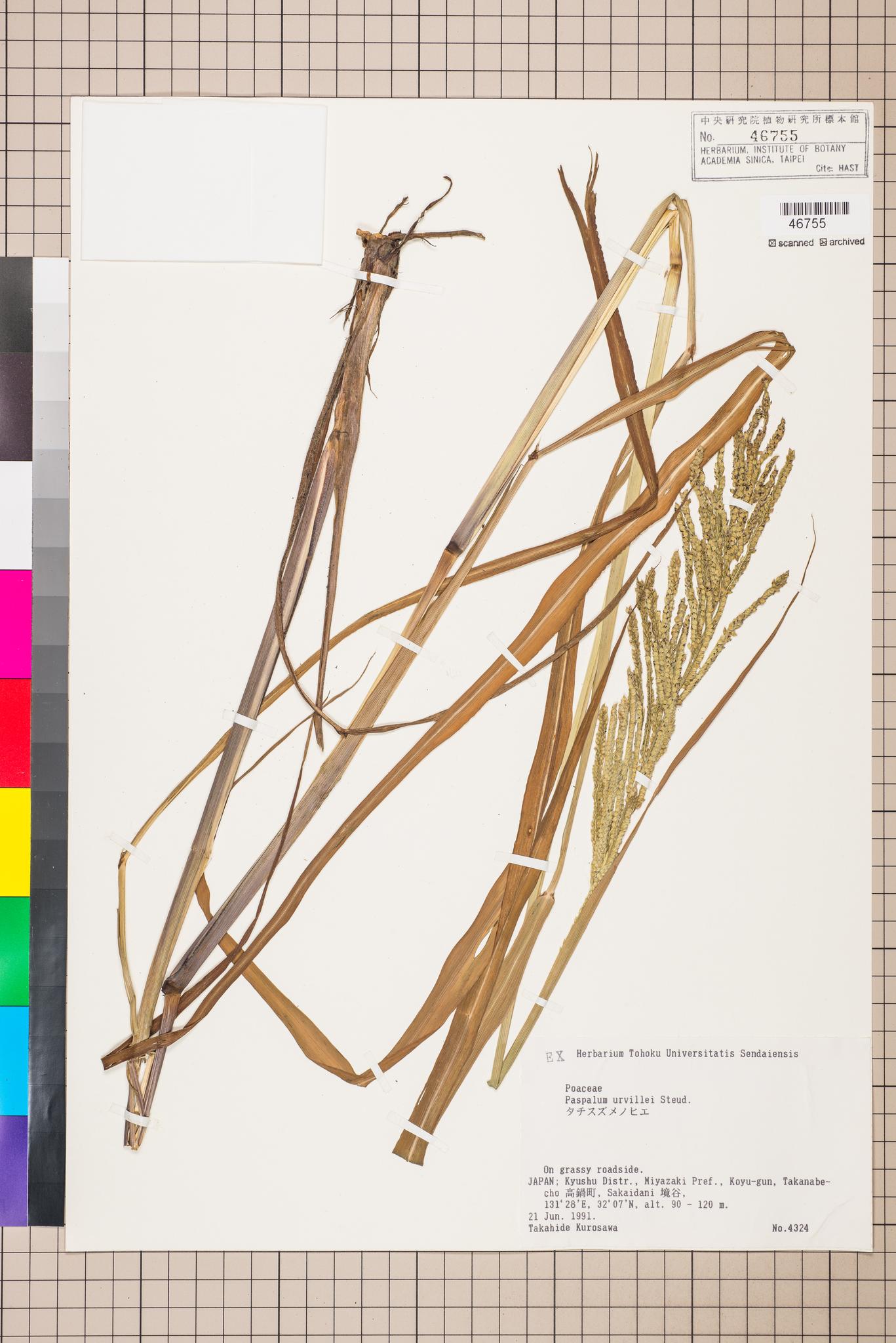 Sample image for viewer