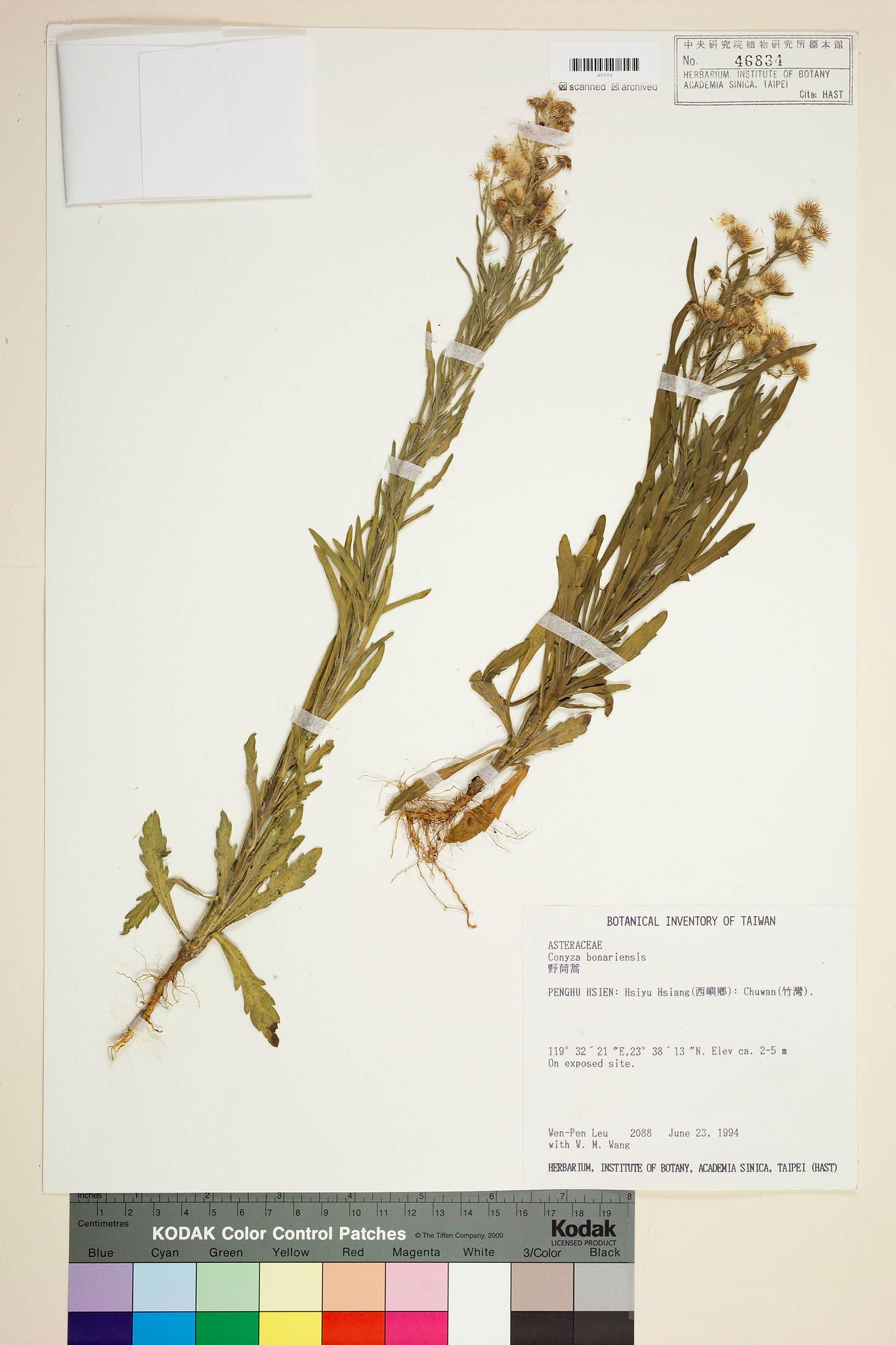 Sample image for viewer