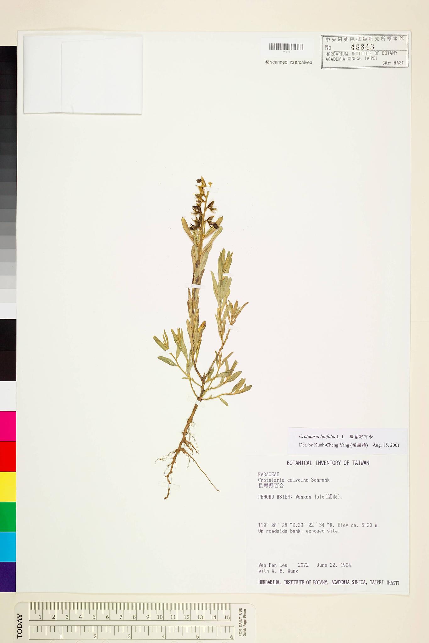 Sample image for viewer