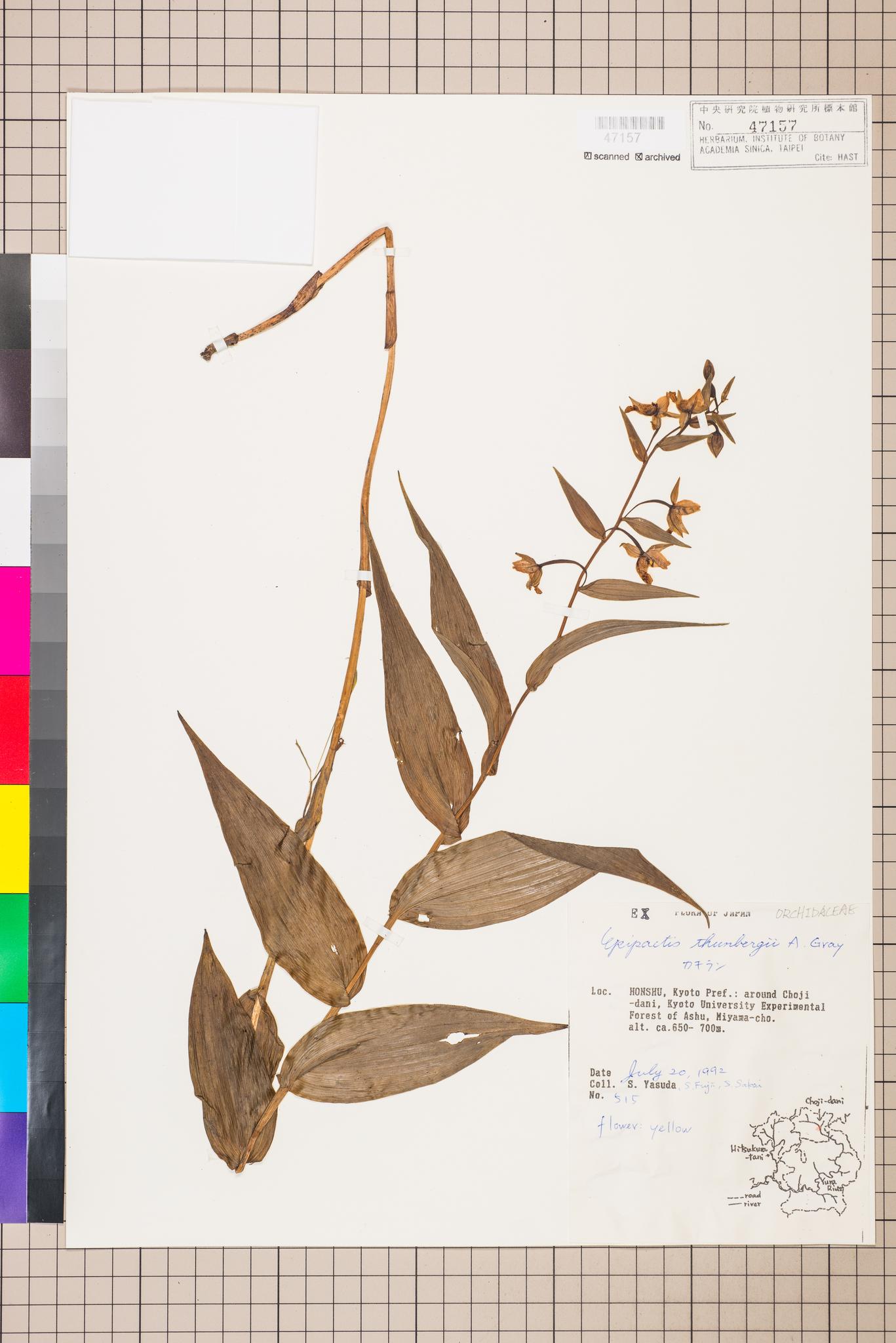 Sample image for viewer