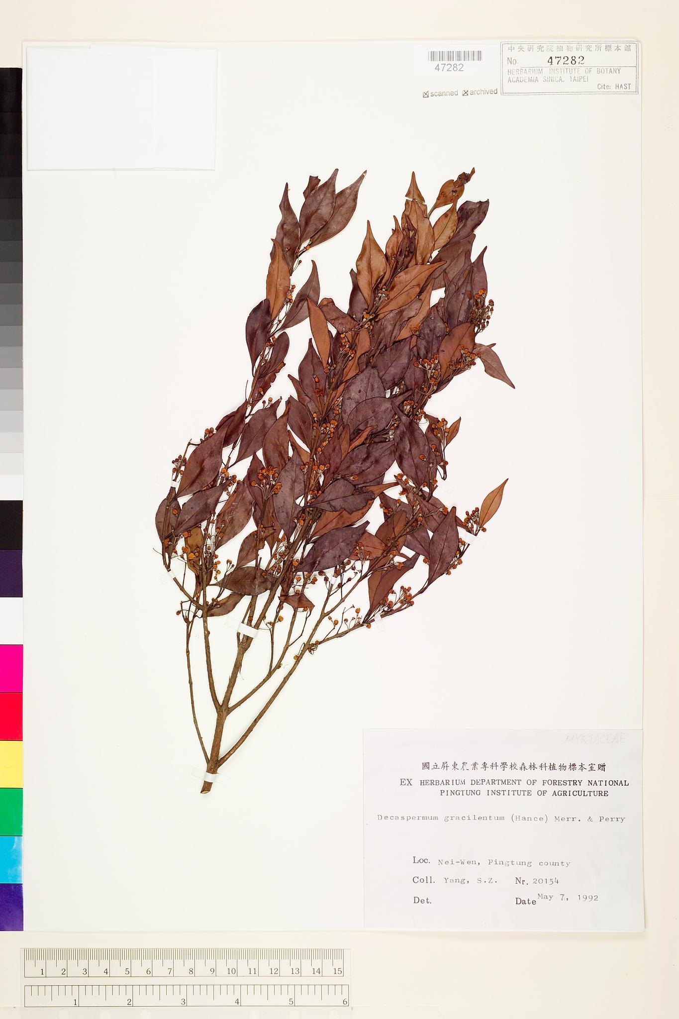 Sample image for viewer