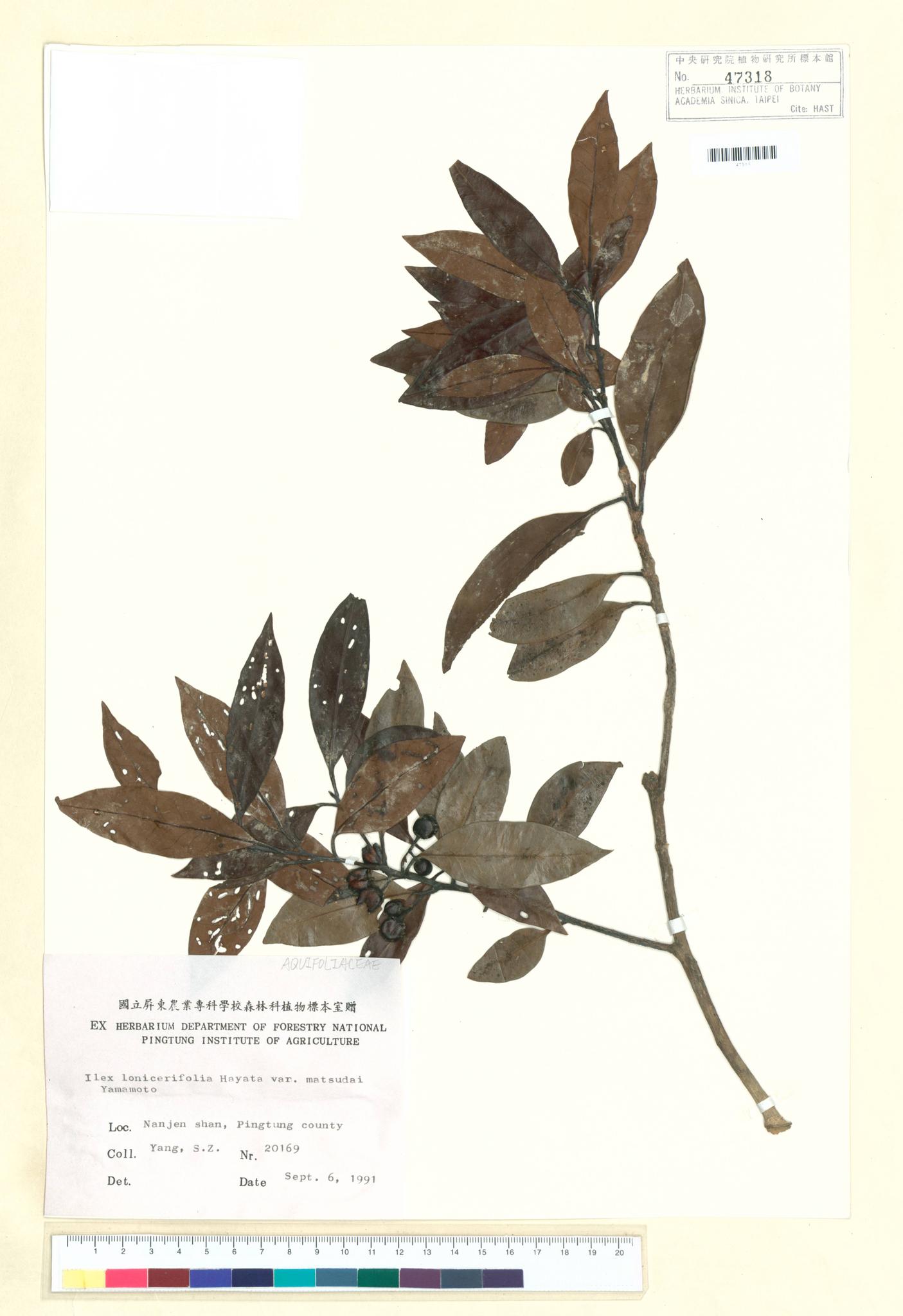 Sample image for viewer