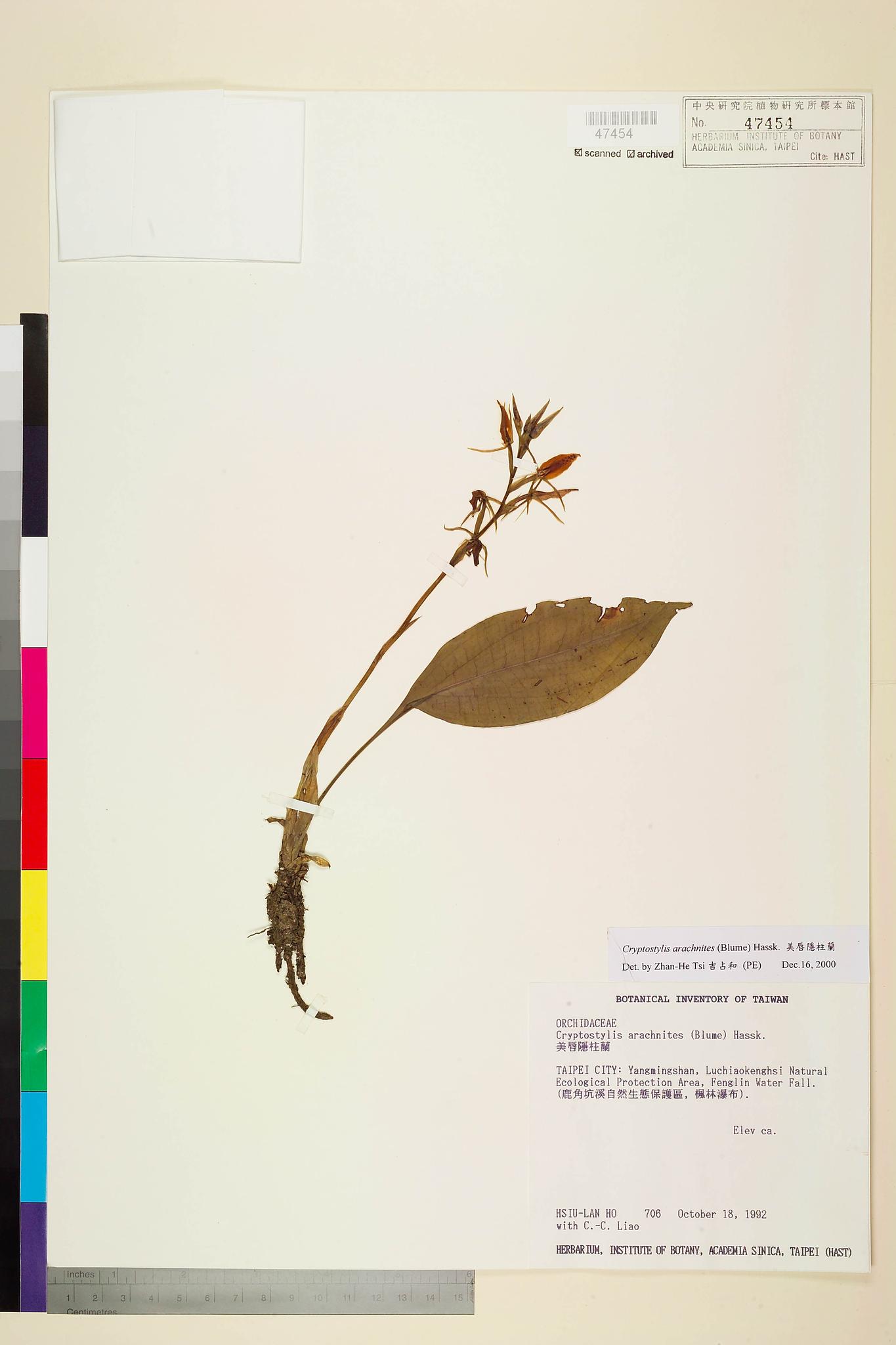 Sample image for viewer