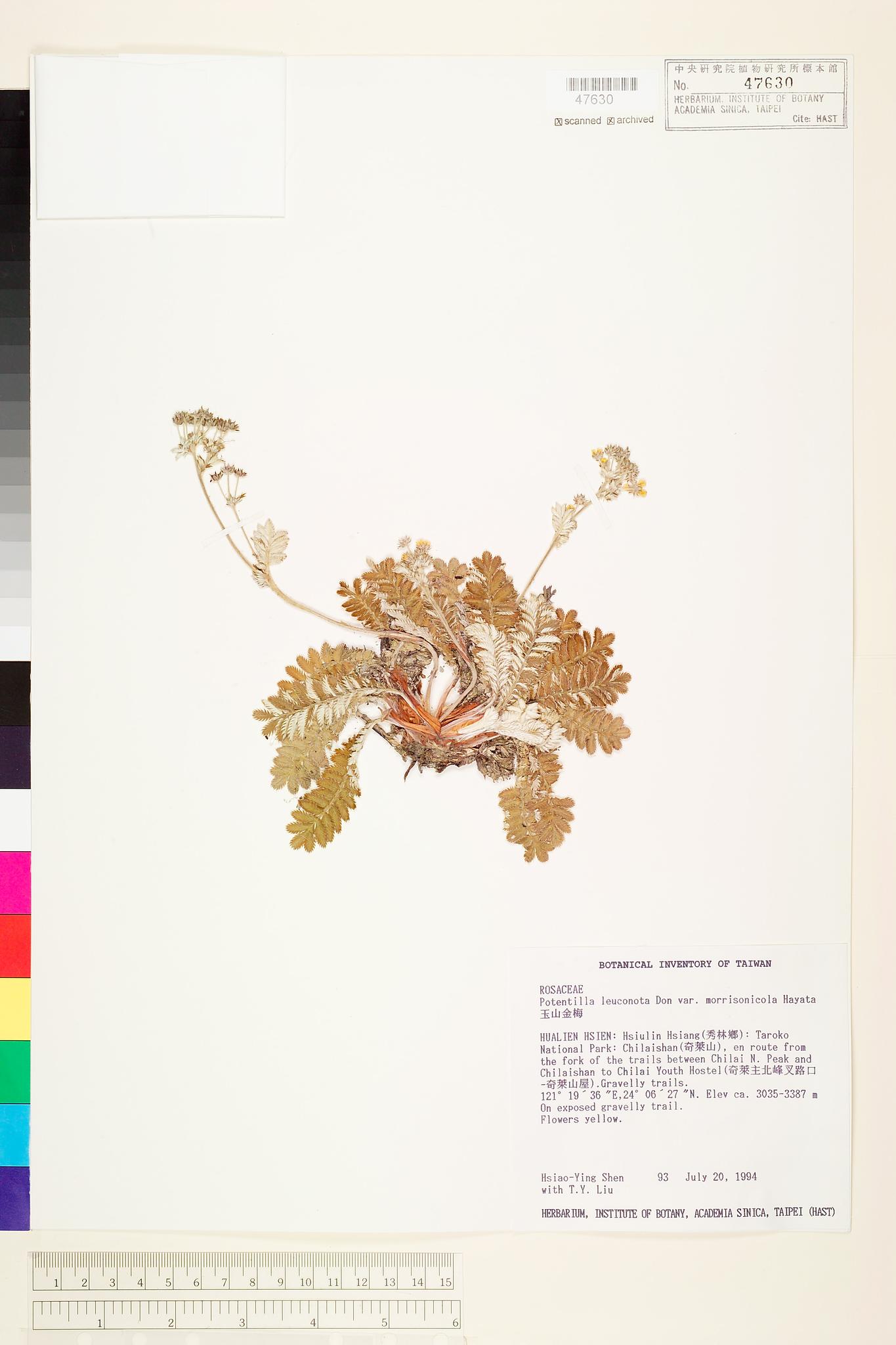 Sample image for viewer