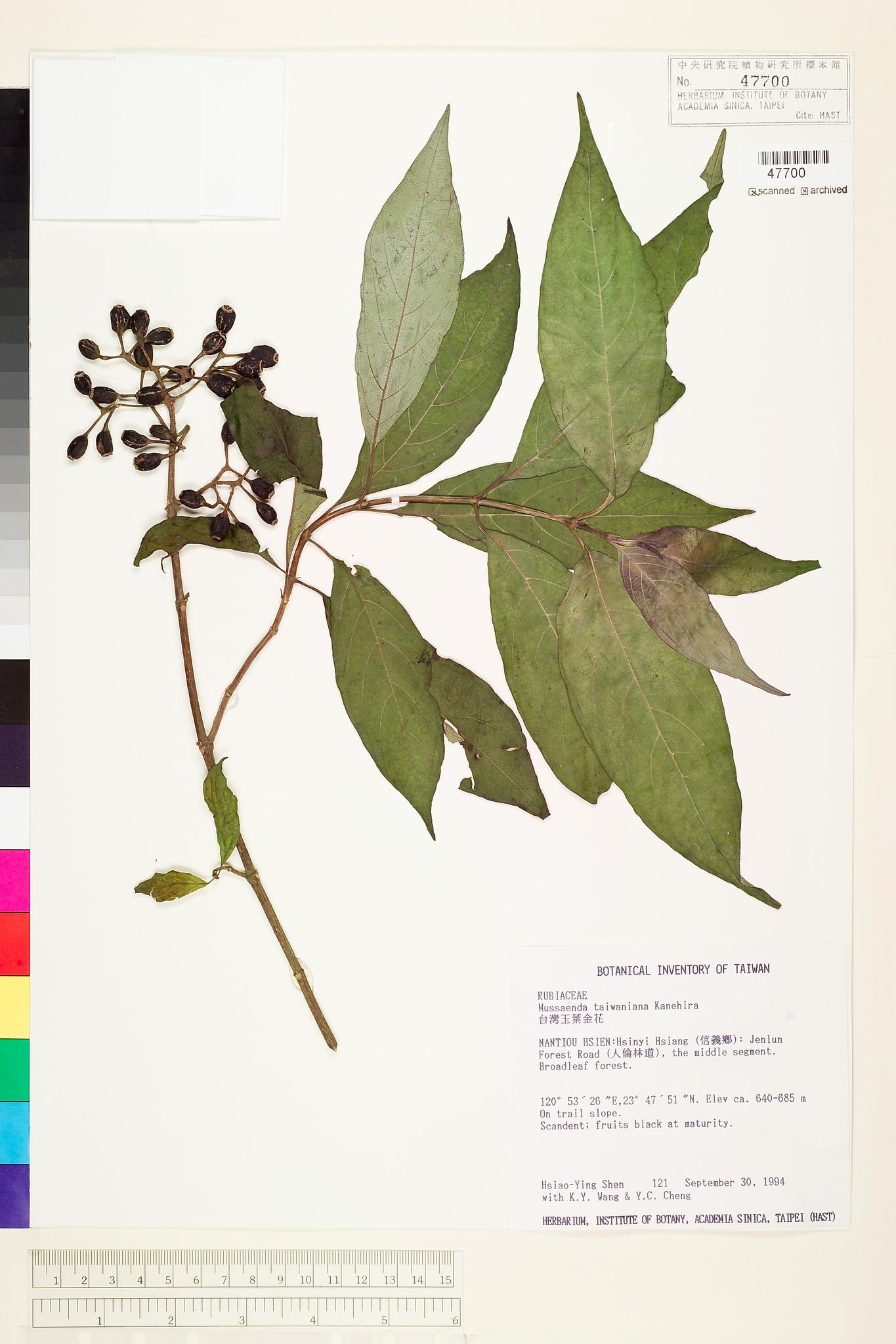 Specimen image