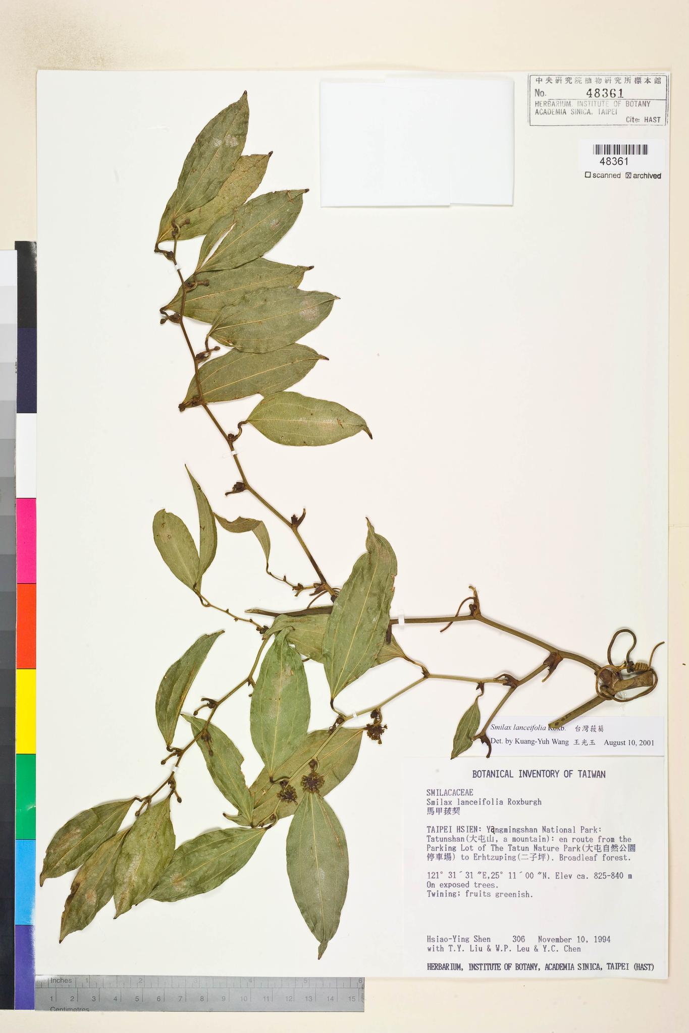 Sample image for viewer