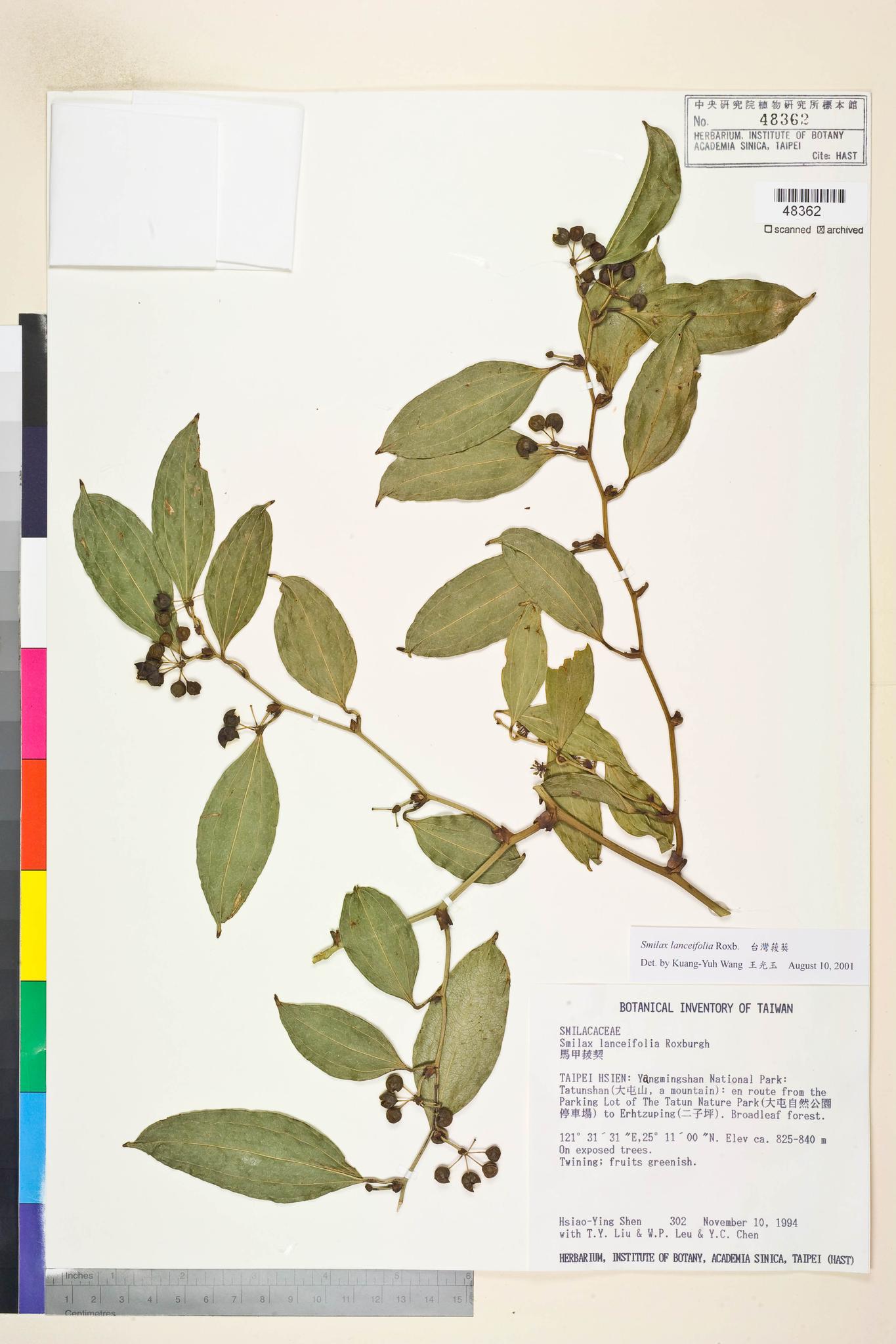 Sample image for viewer