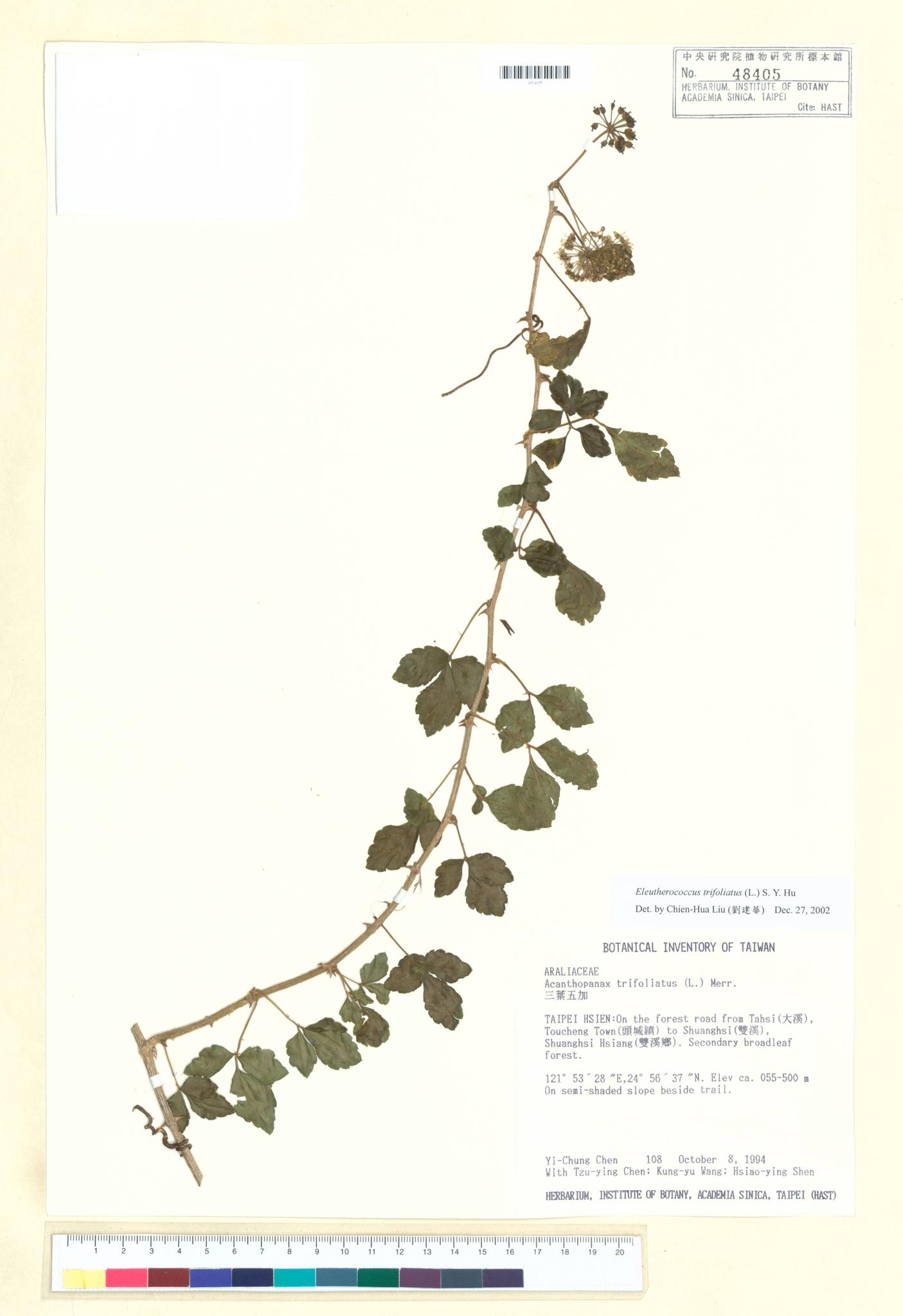 Sample image for viewer