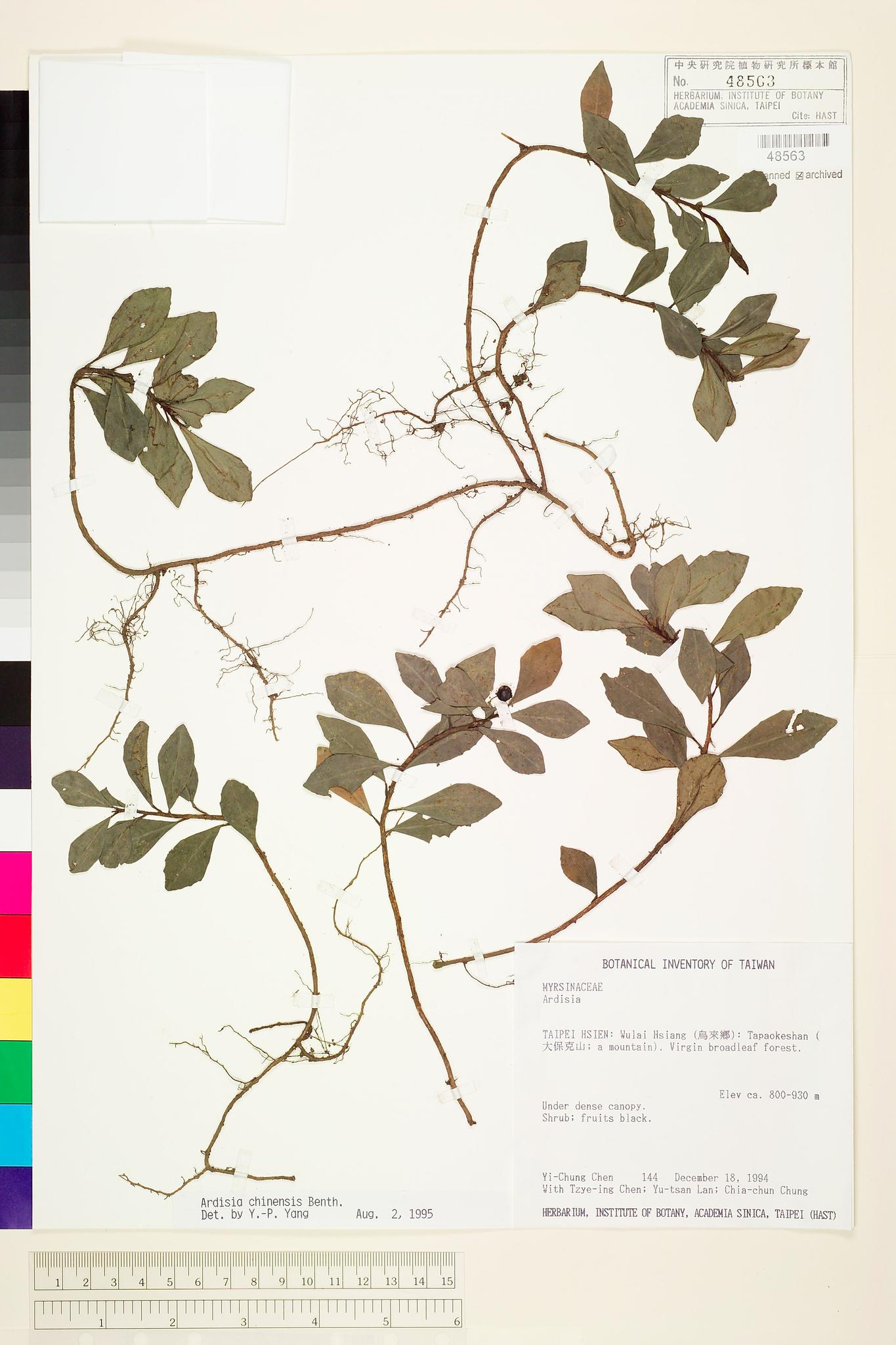 Specimen image