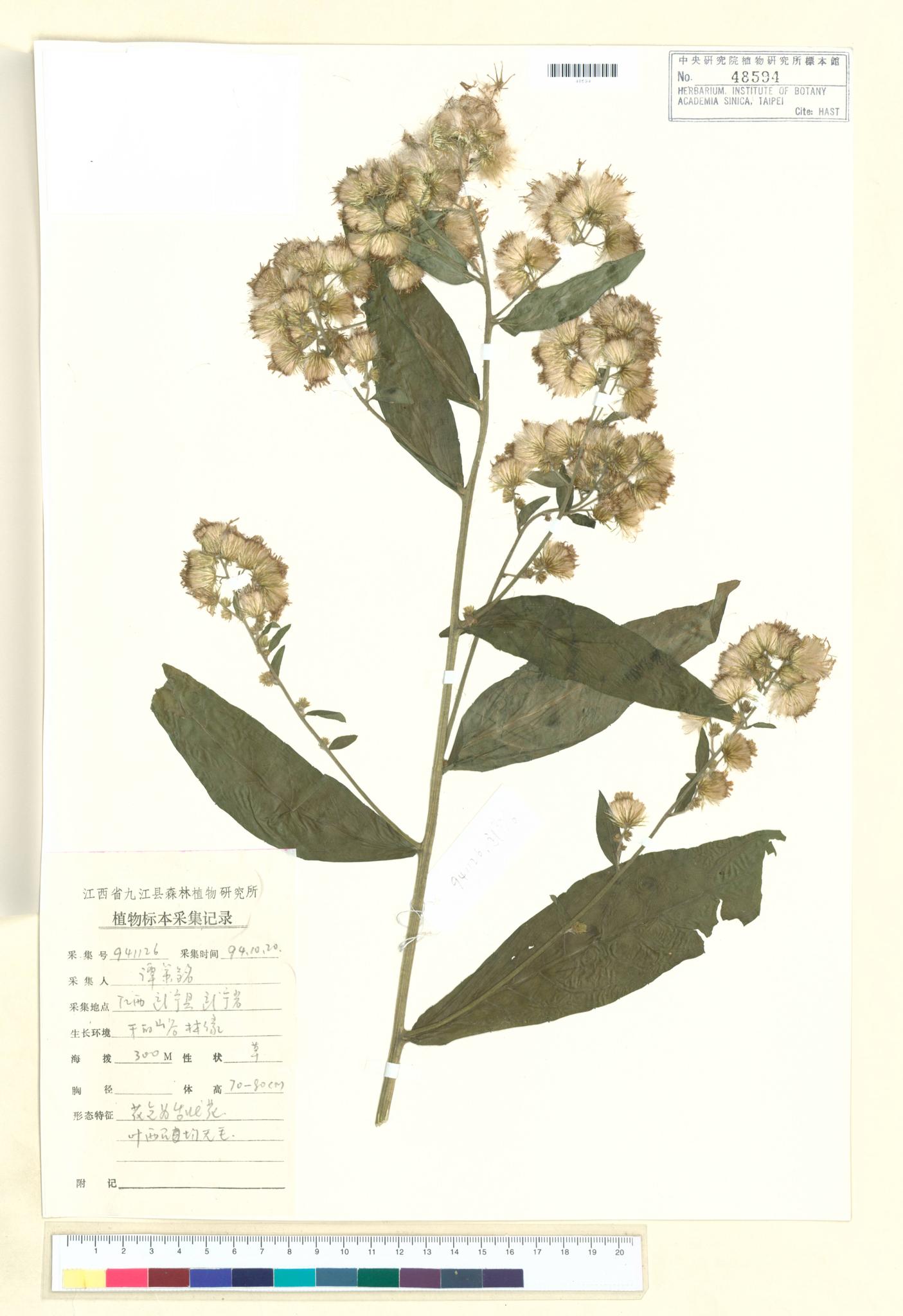 Specimen image