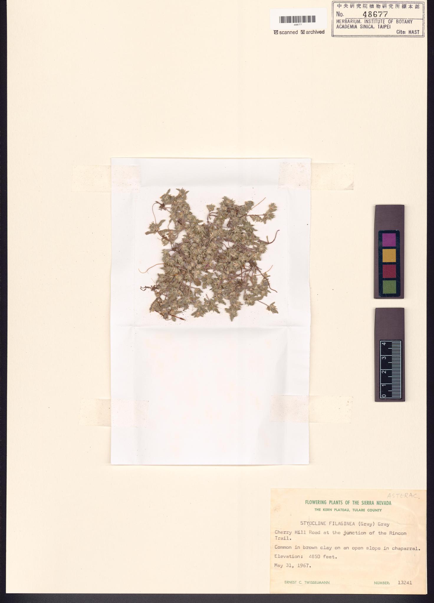 Sample image for viewer