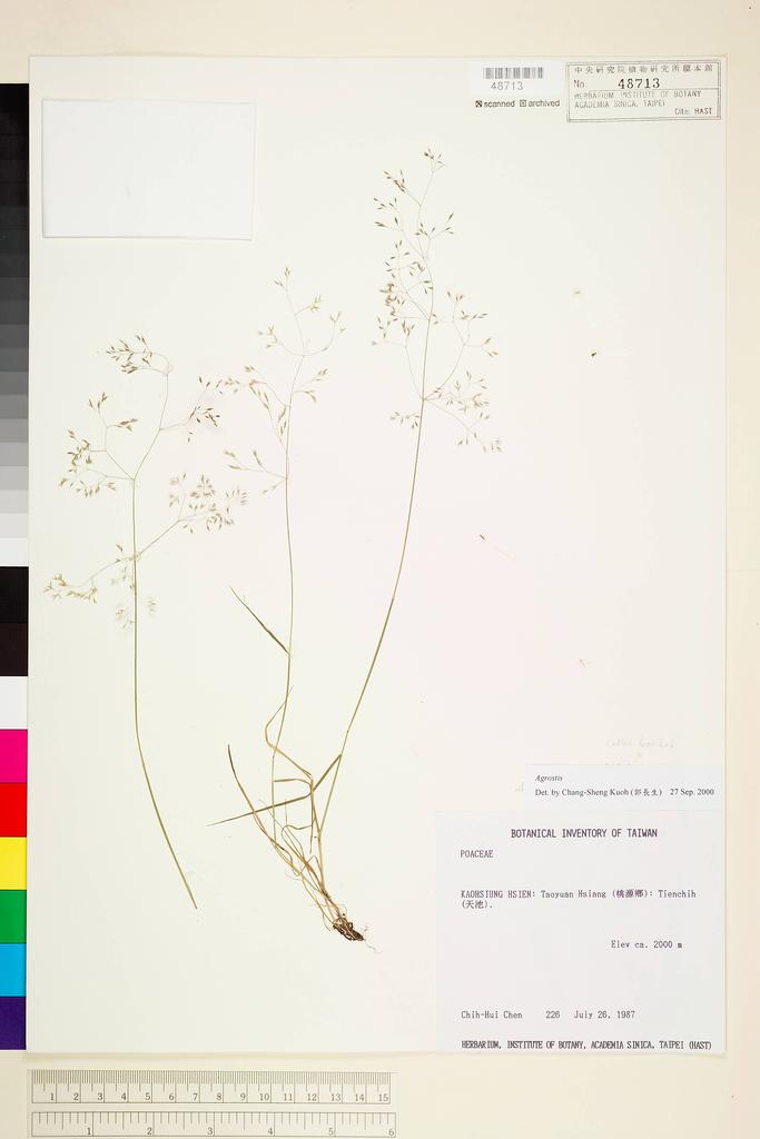 <Unit #5716 Chen, Chih-Hui | 陳志輝 | 226:: | Agrostis>