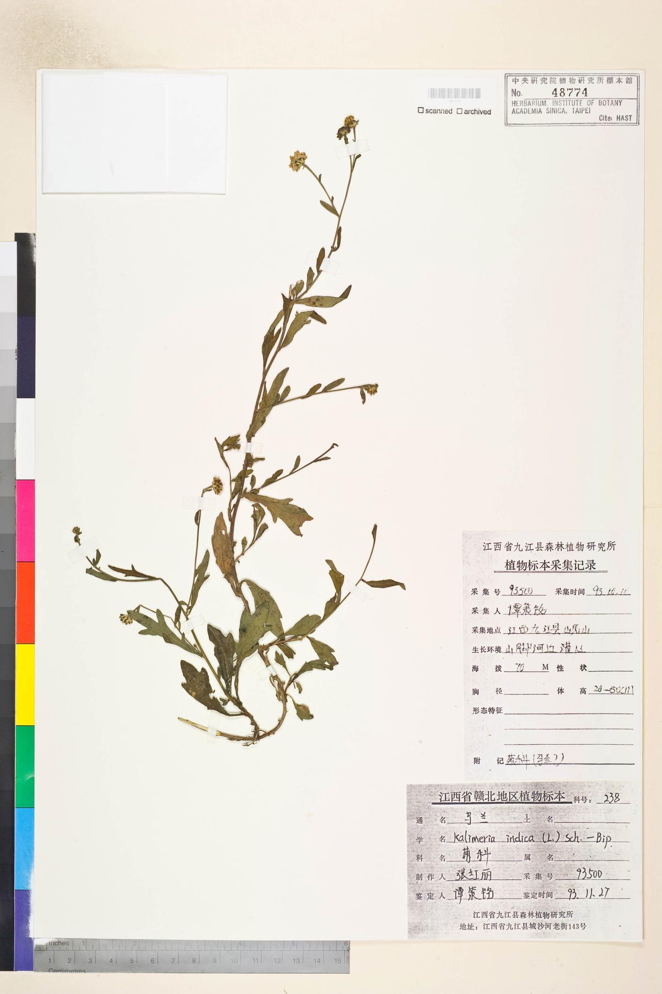 Specimen image