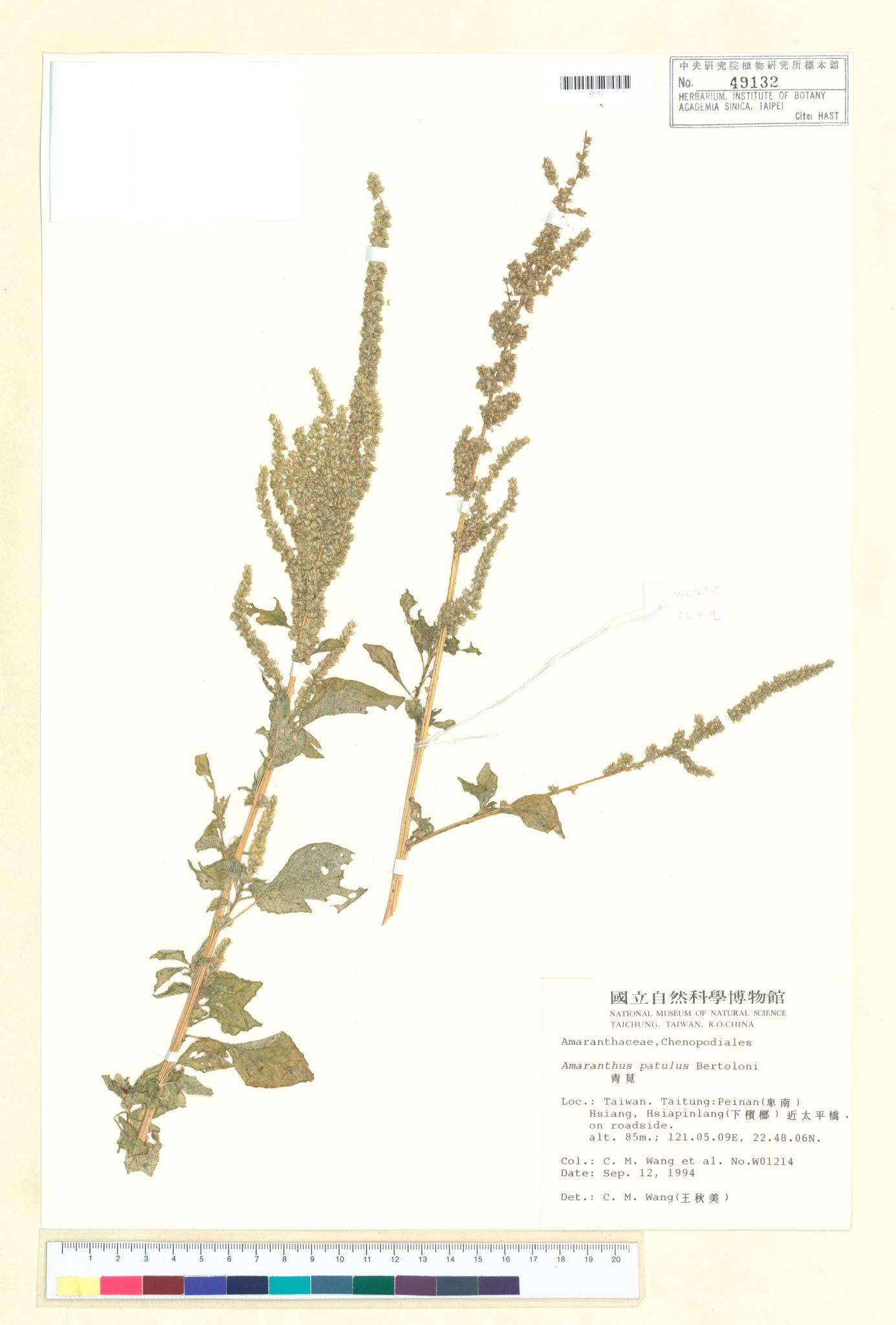 Sample image for viewer