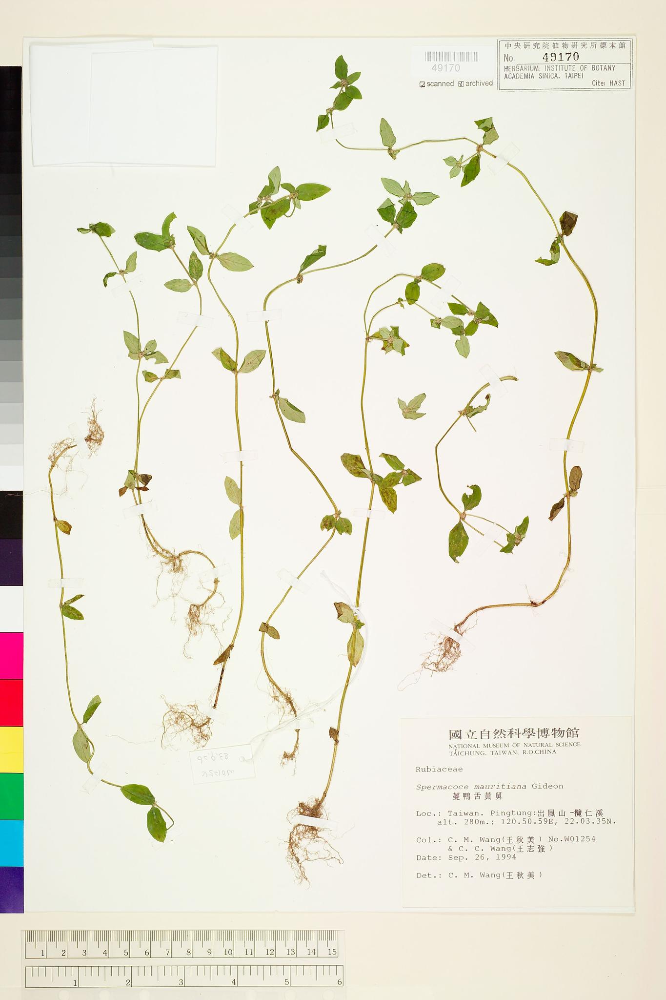 Sample image for viewer