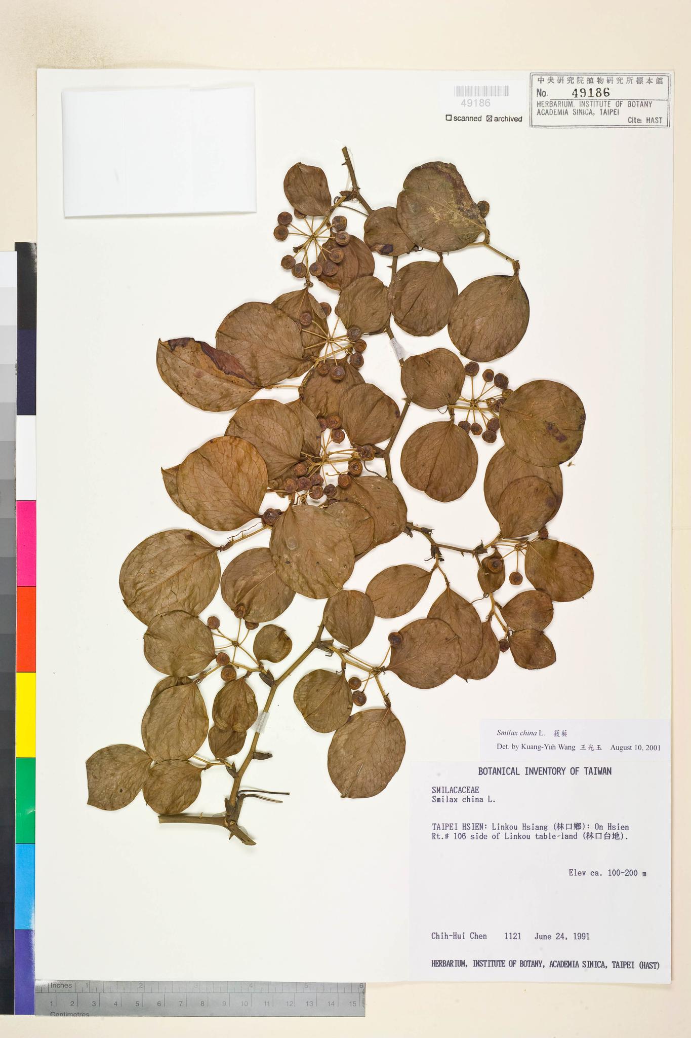 Specimen image