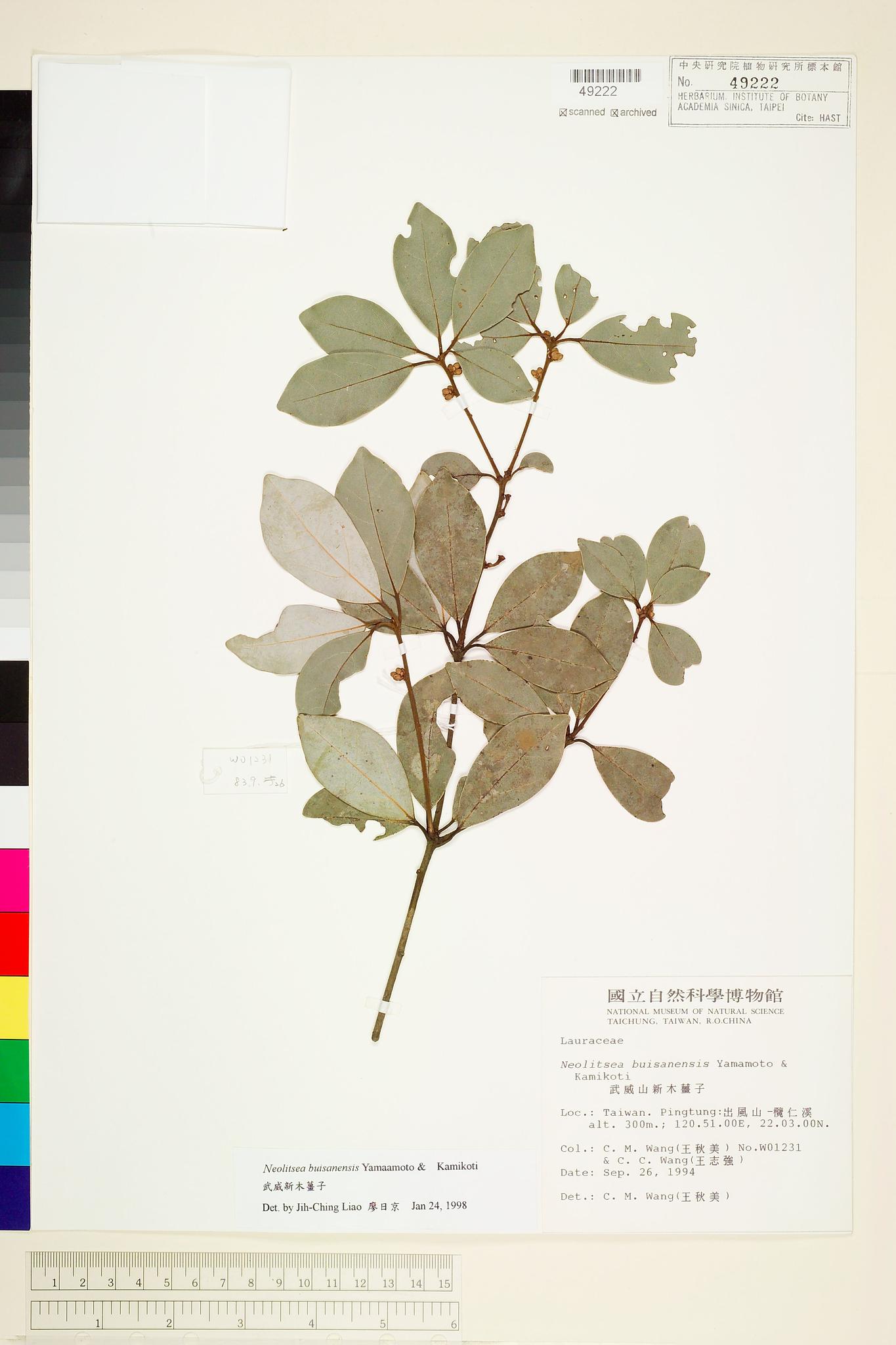 Sample image for viewer