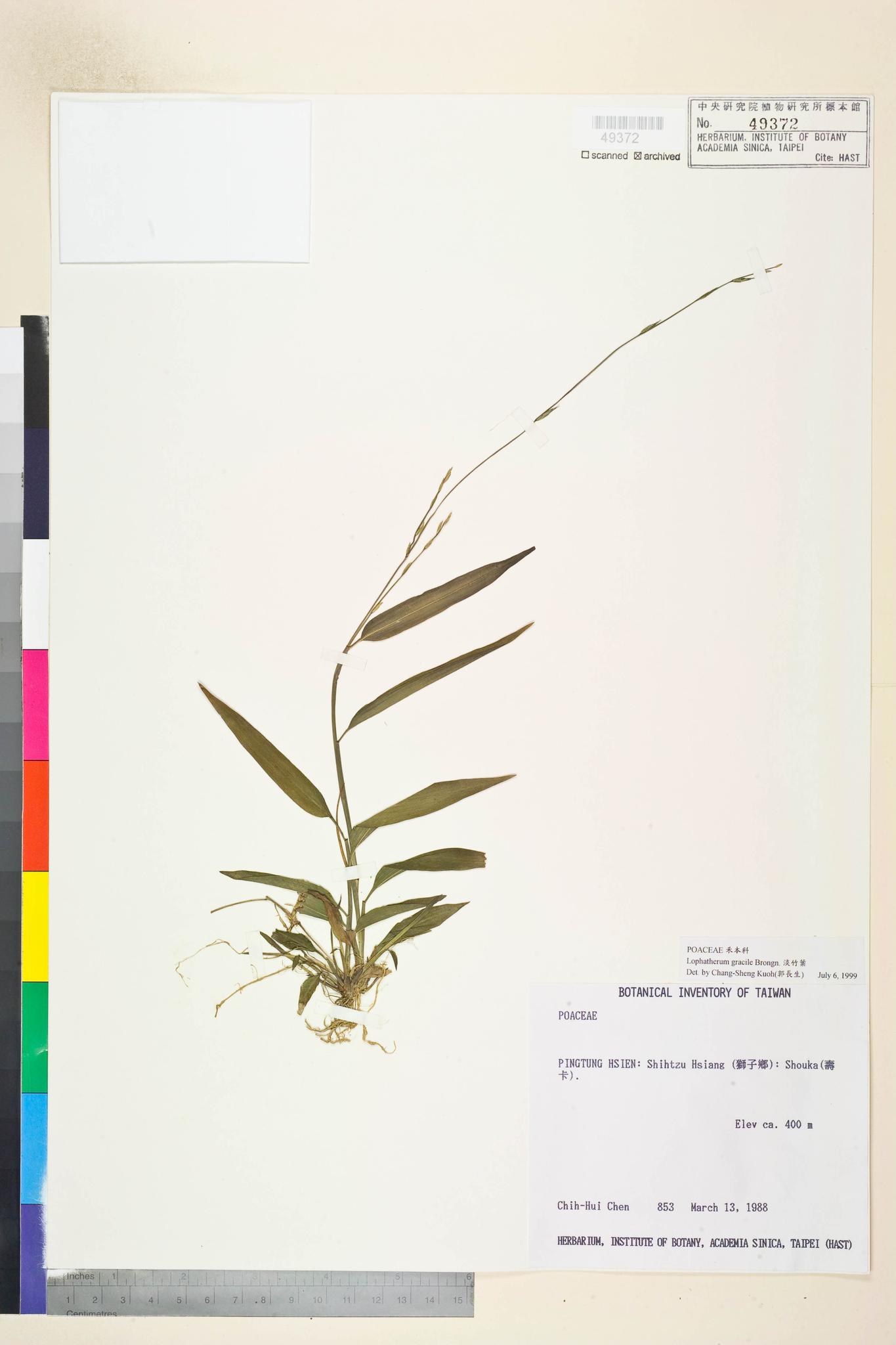 Specimen image