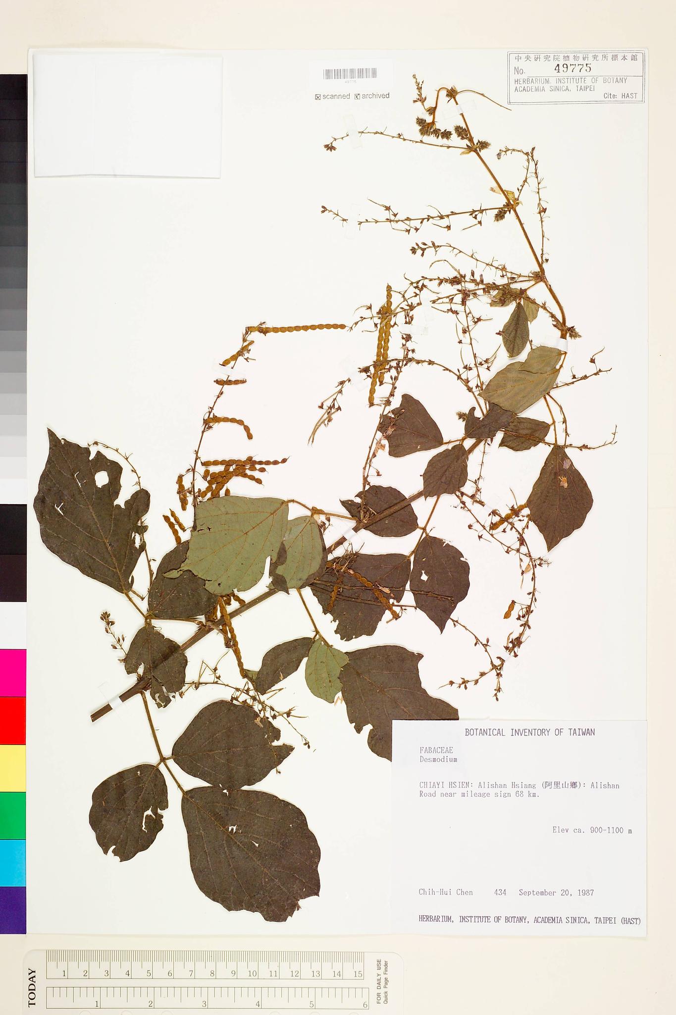 Specimen image