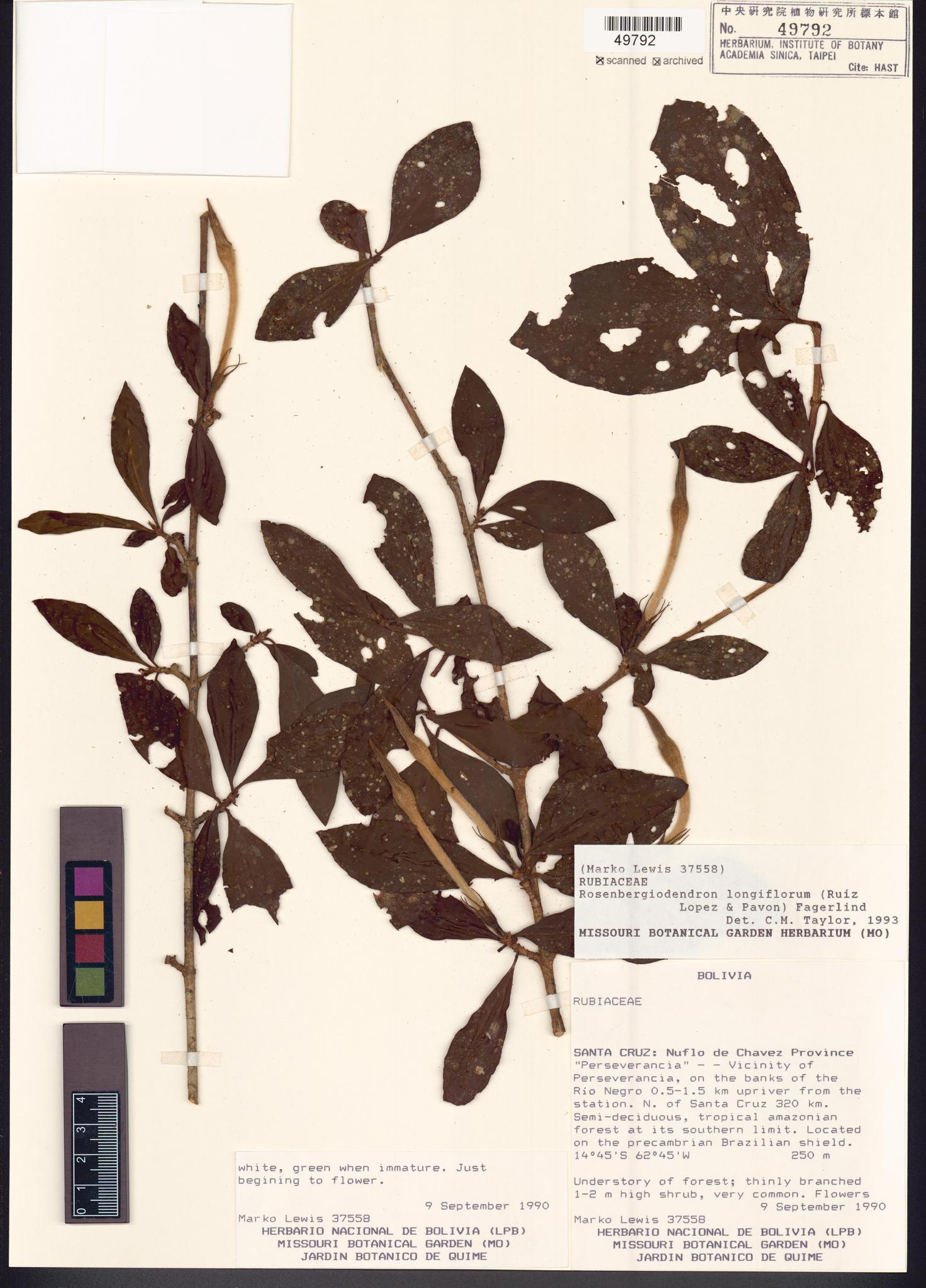 Sample image for viewer