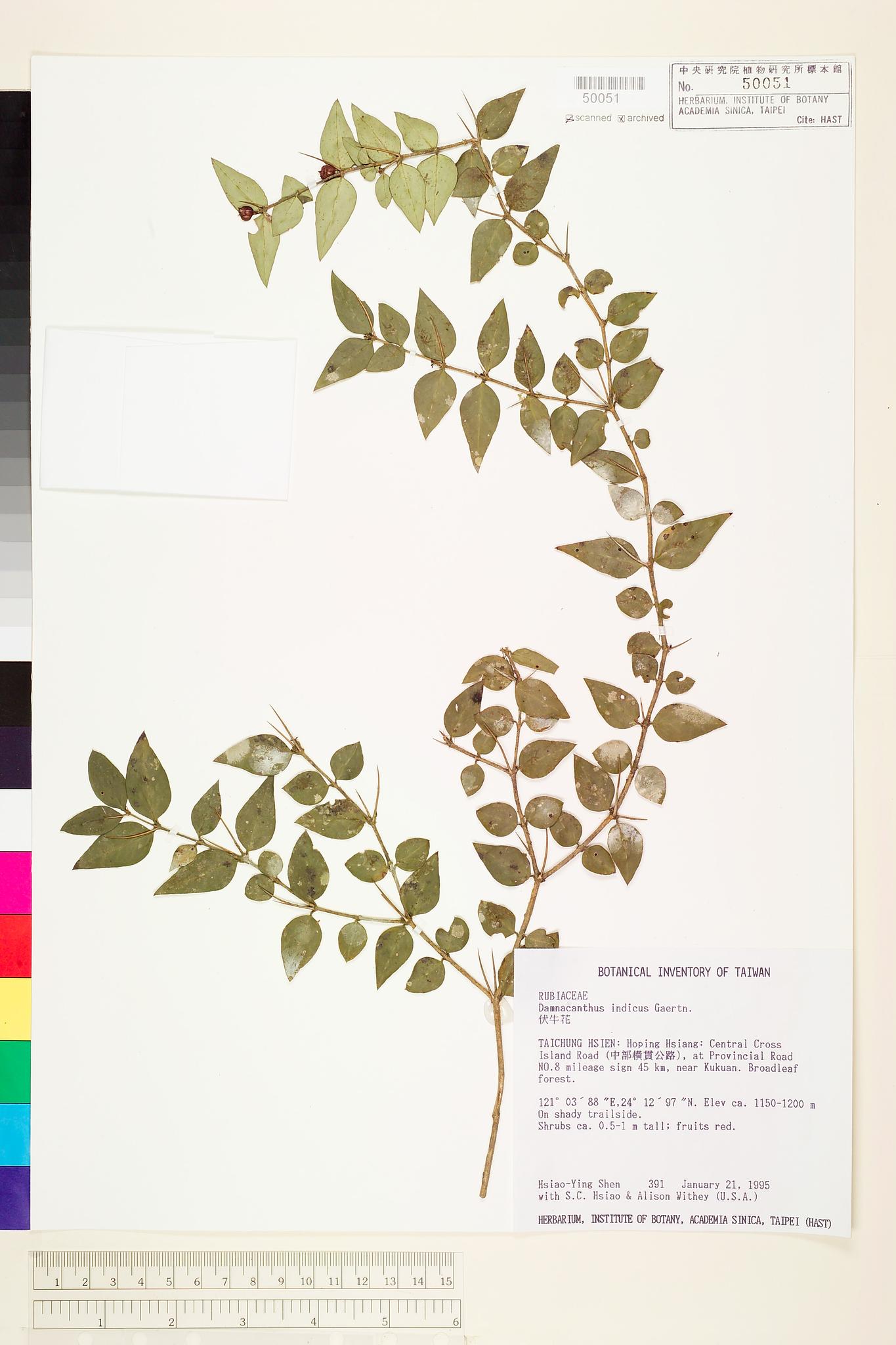 Specimen image