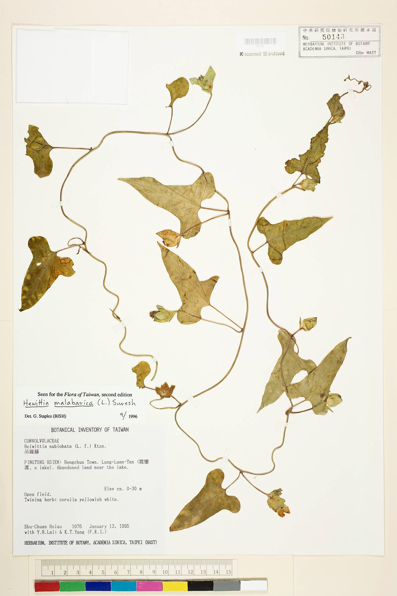 Sample image for viewer