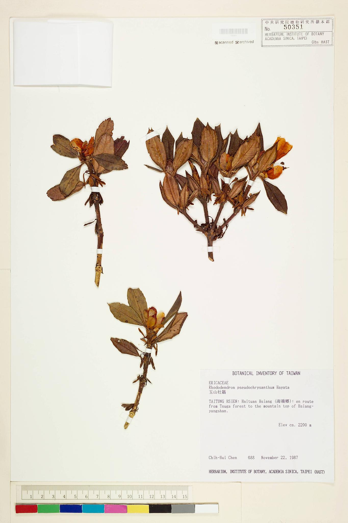 Sample image for viewer