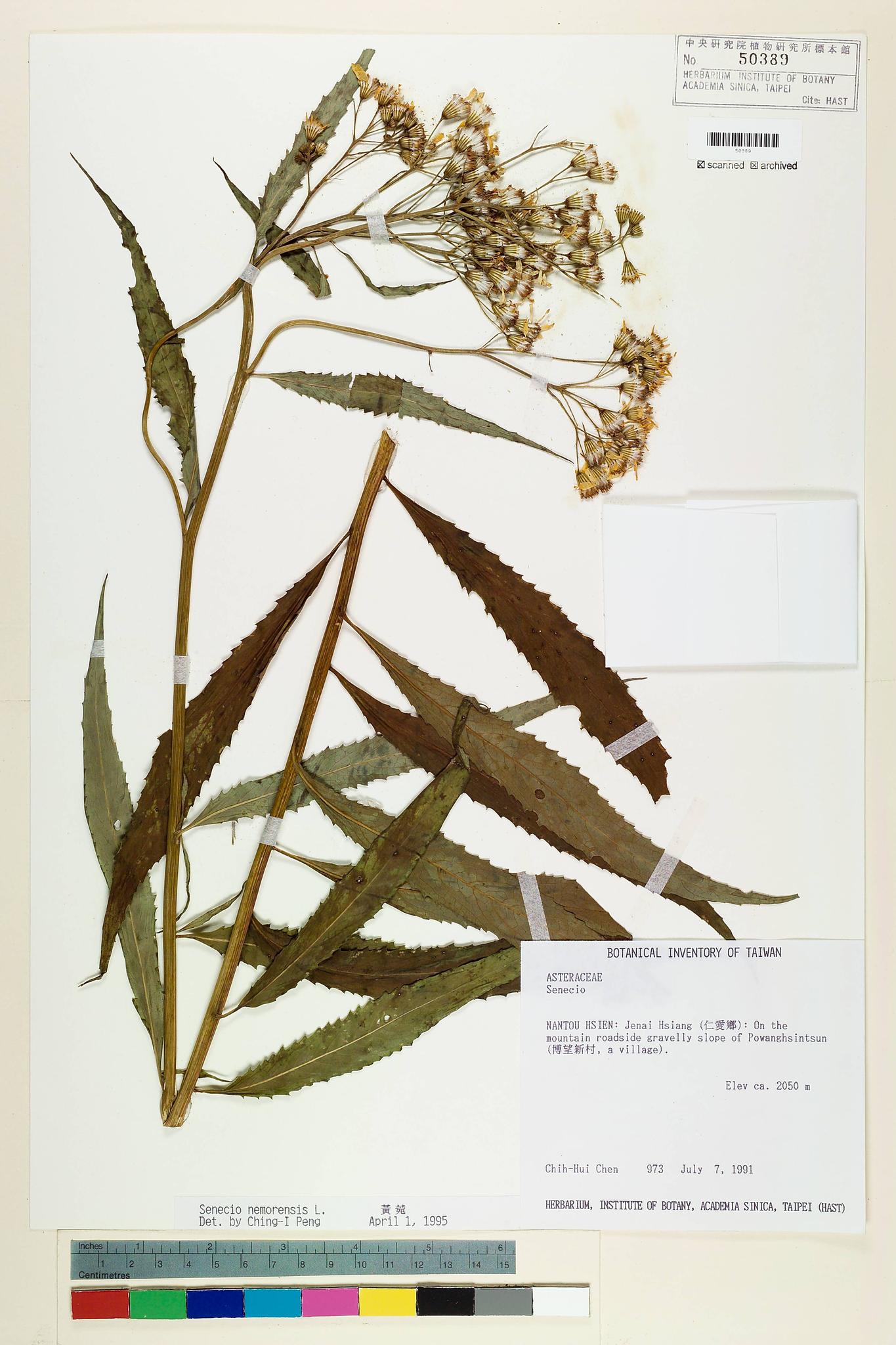 Sample image for viewer