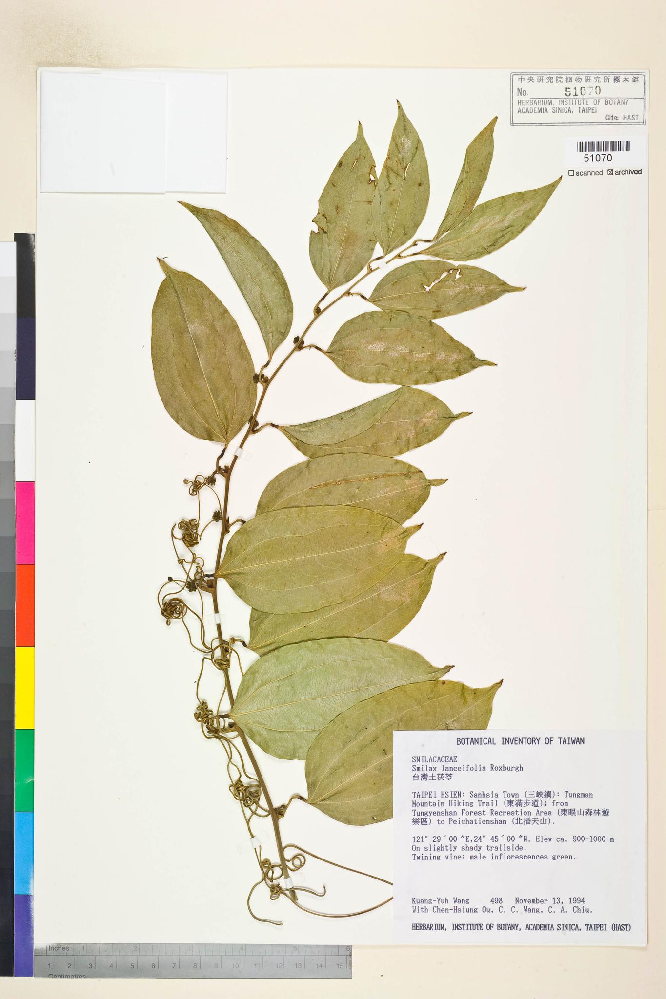 Sample image for viewer