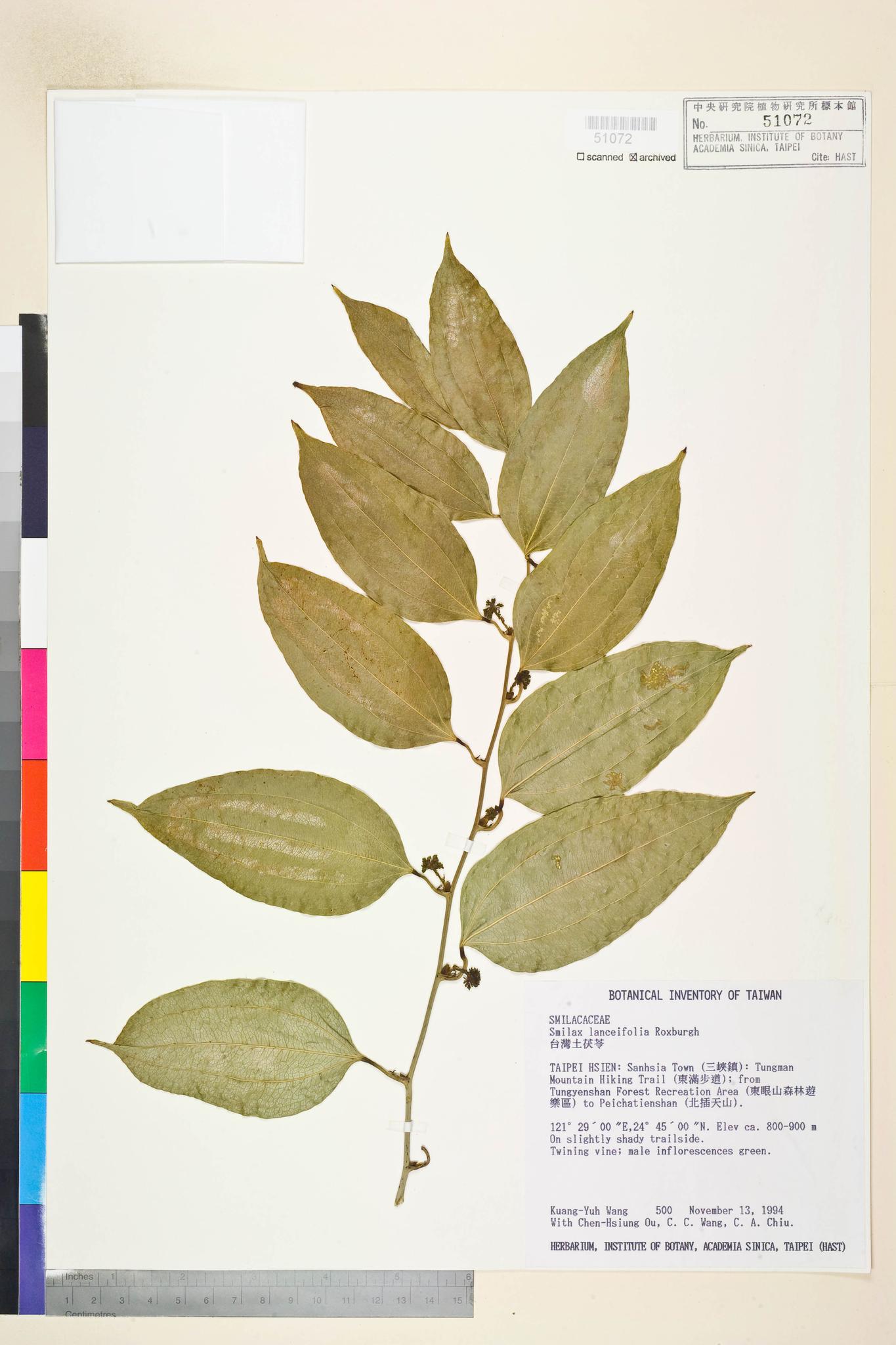 Sample image for viewer