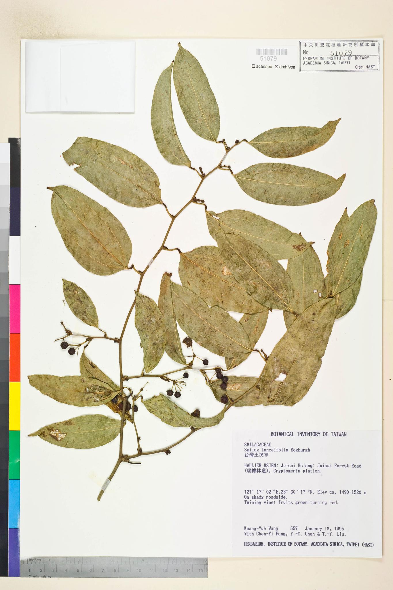 Sample image for viewer