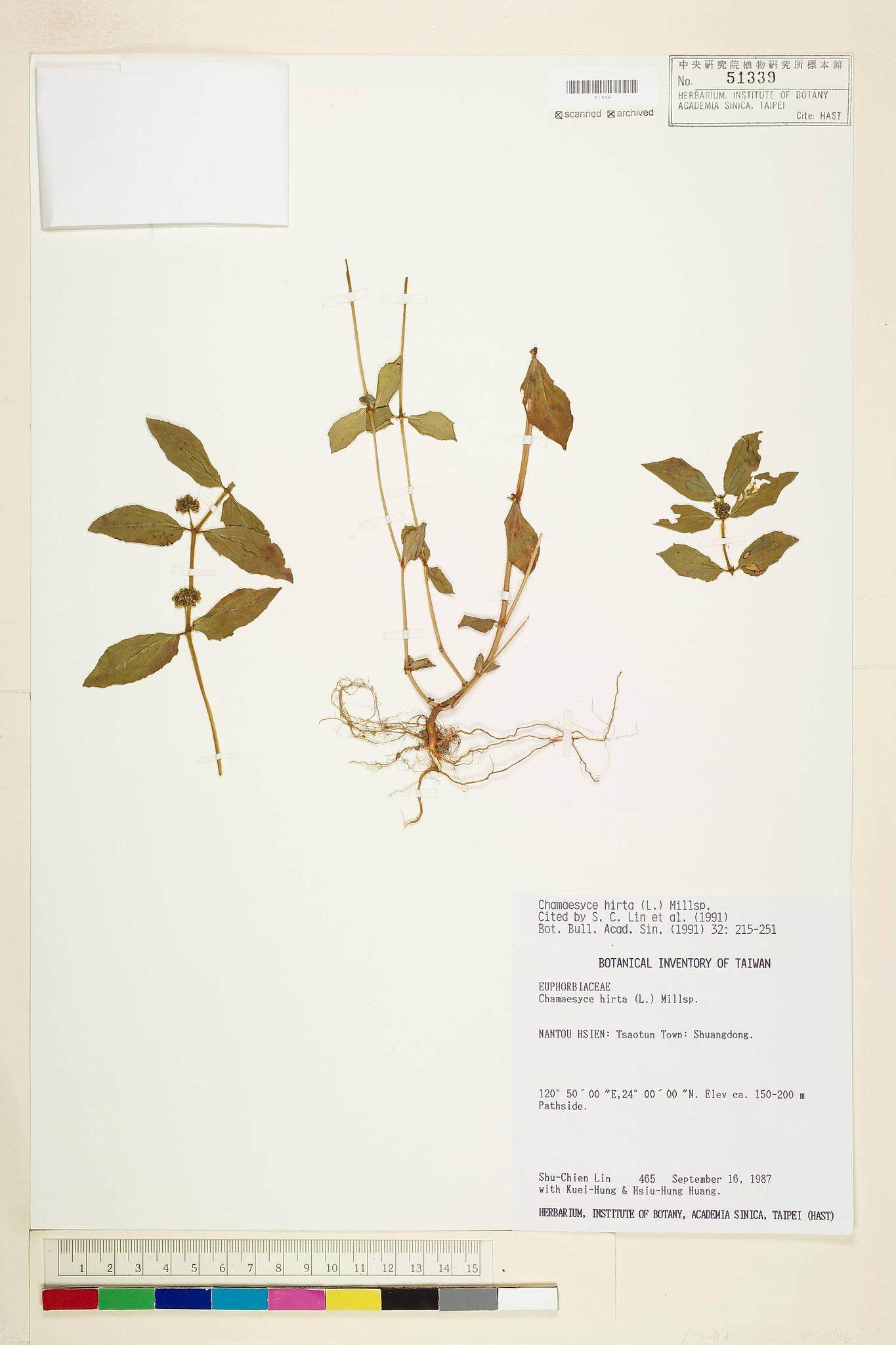 Sample image for viewer