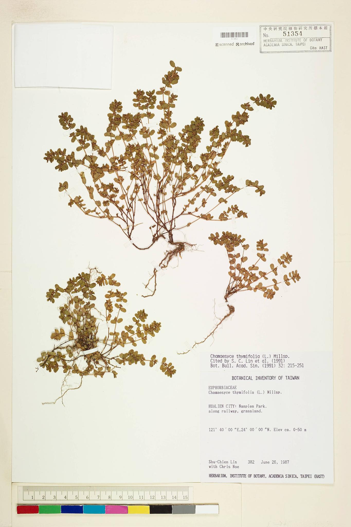 Sample image for viewer