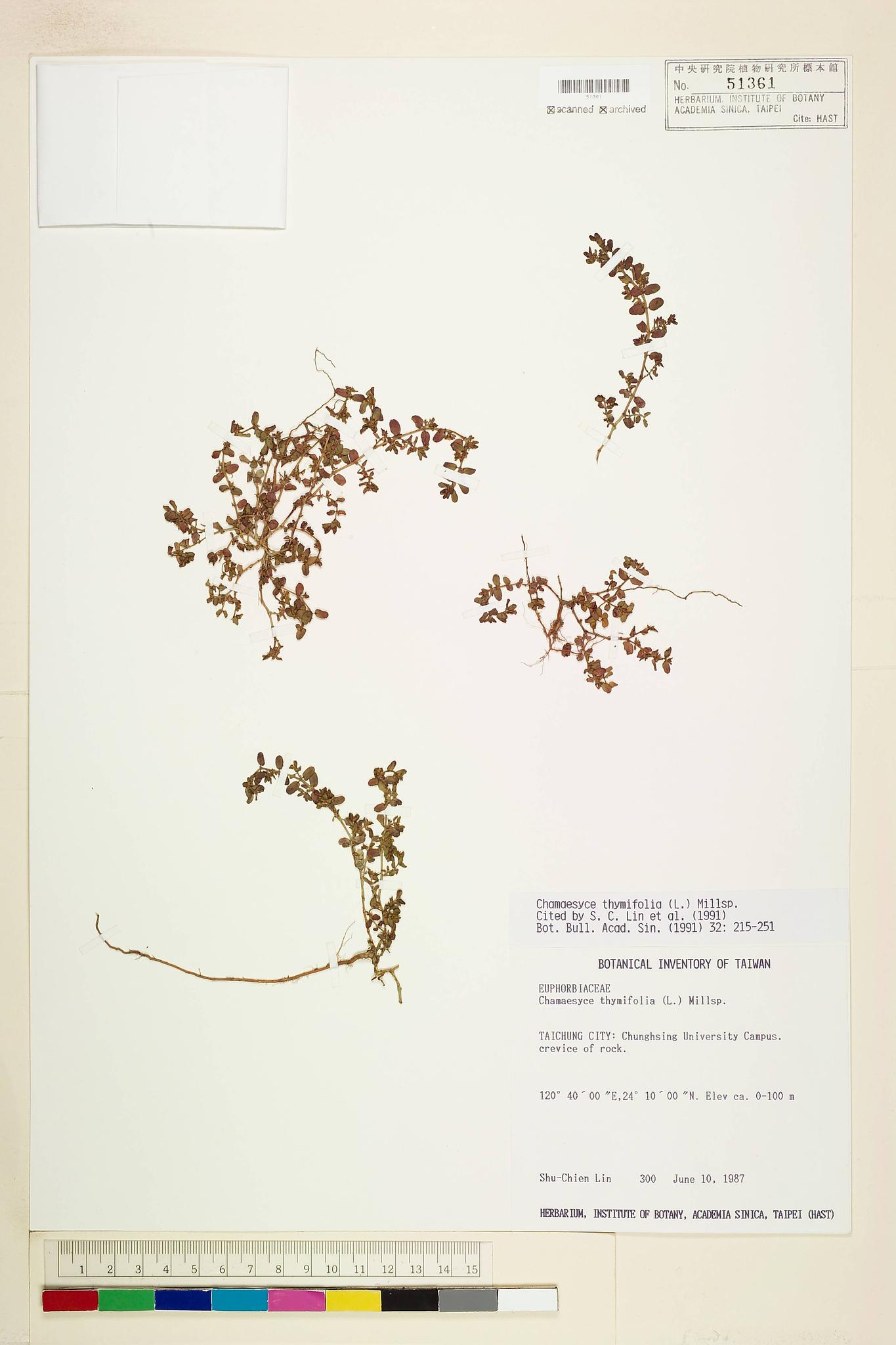 Sample image for viewer