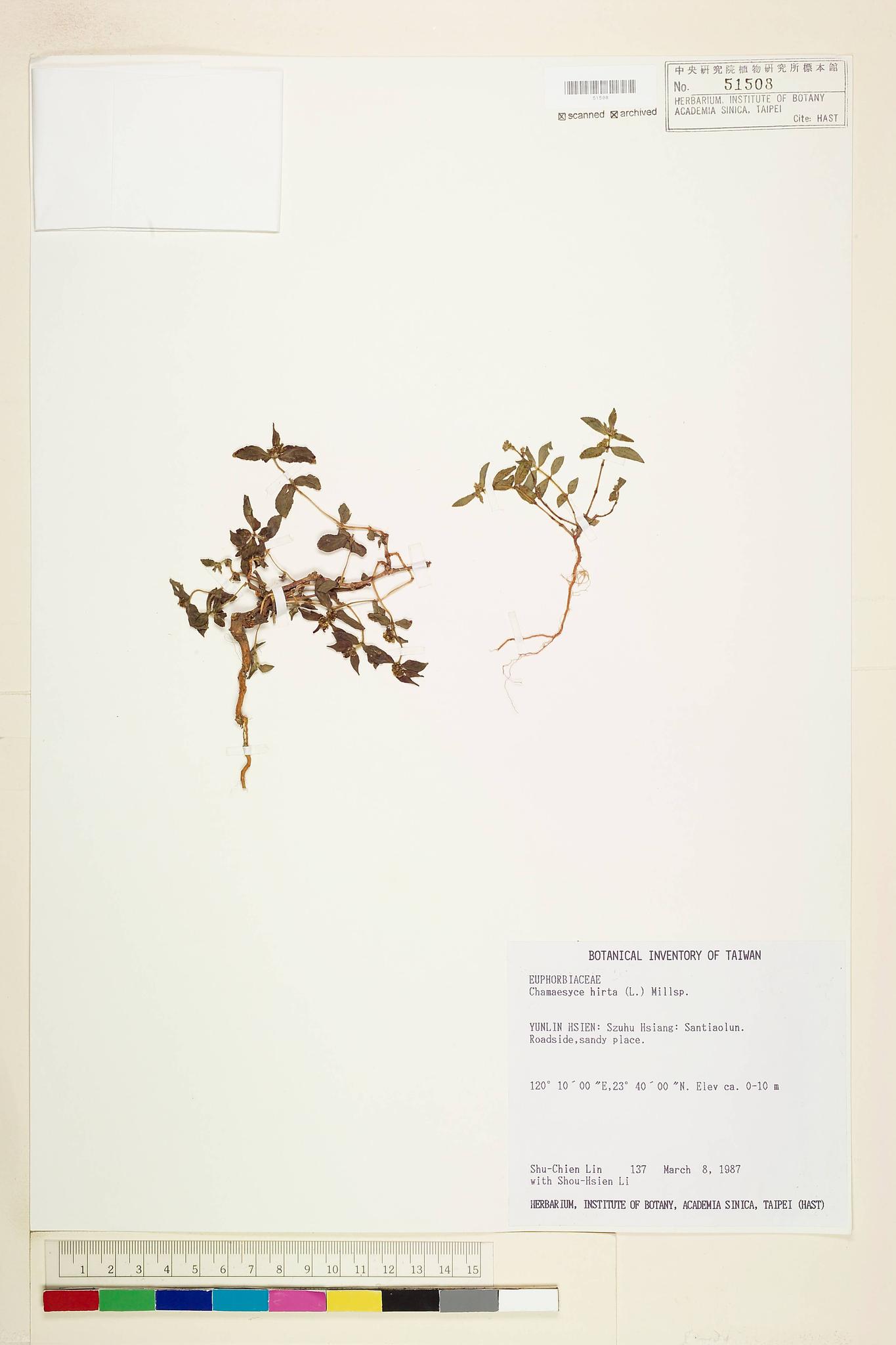 Sample image for viewer